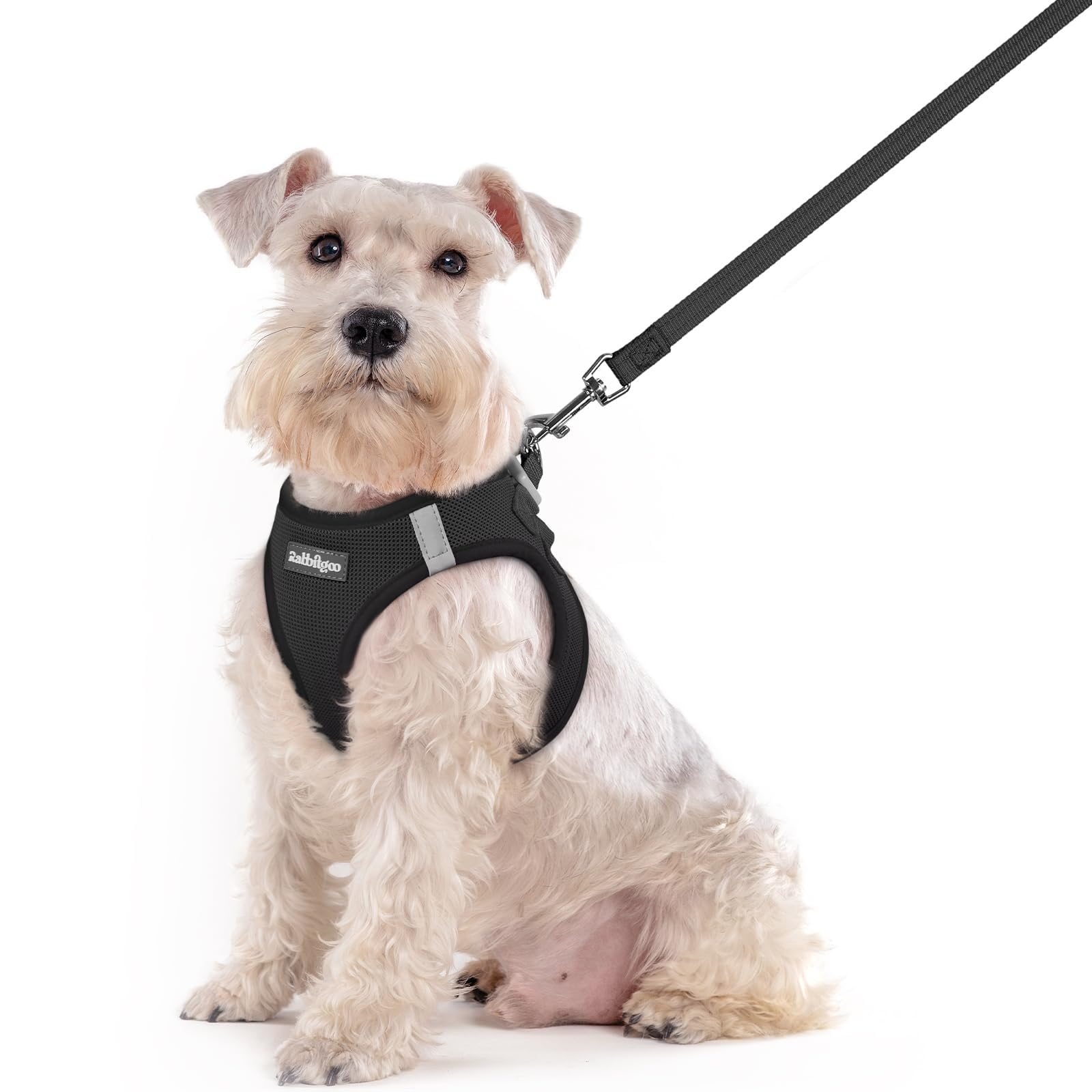 rabbitgoo Reflective Mesh Dog Harness & Leash Set