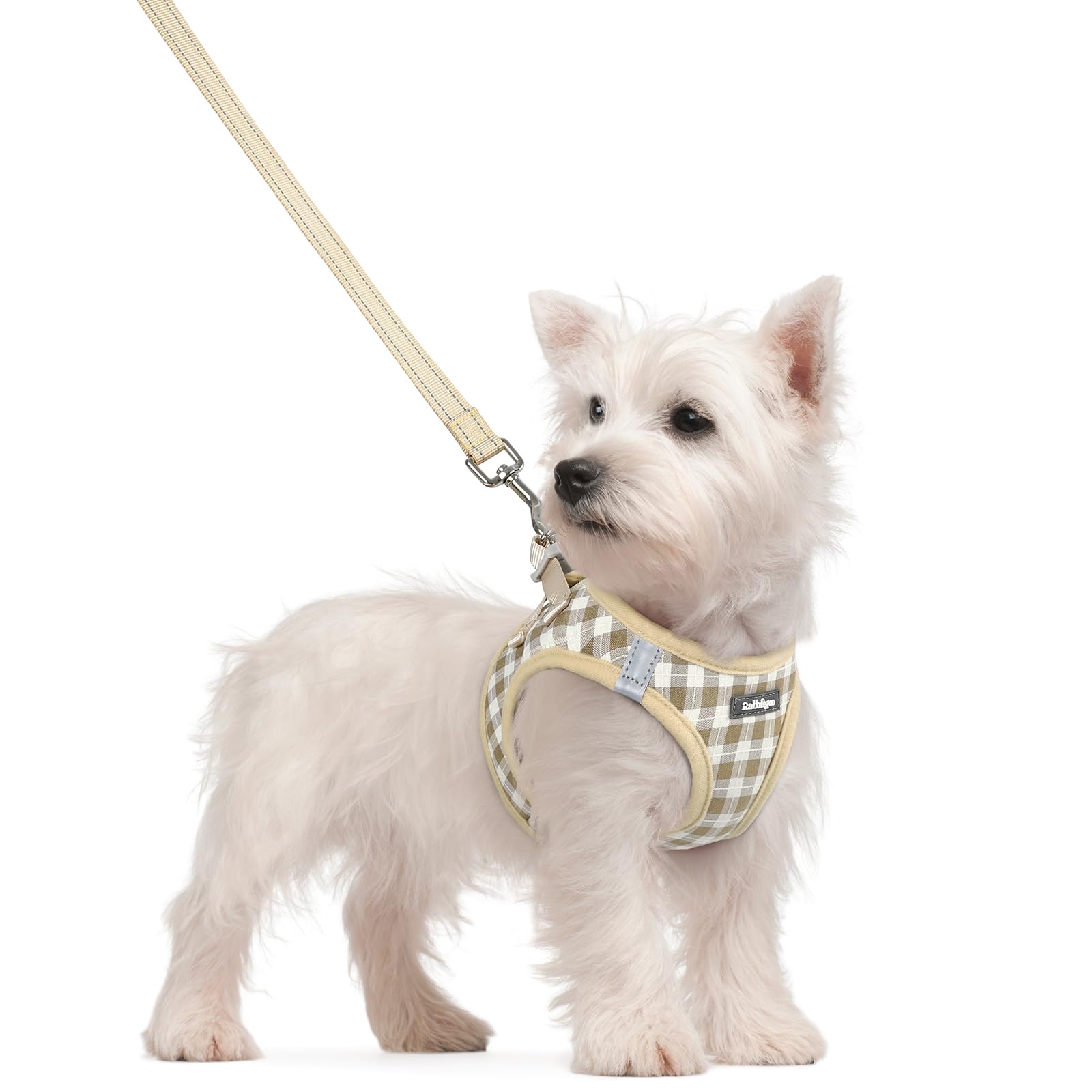 rabbitgoo Reflective Mesh Dog Harness & Leash Set