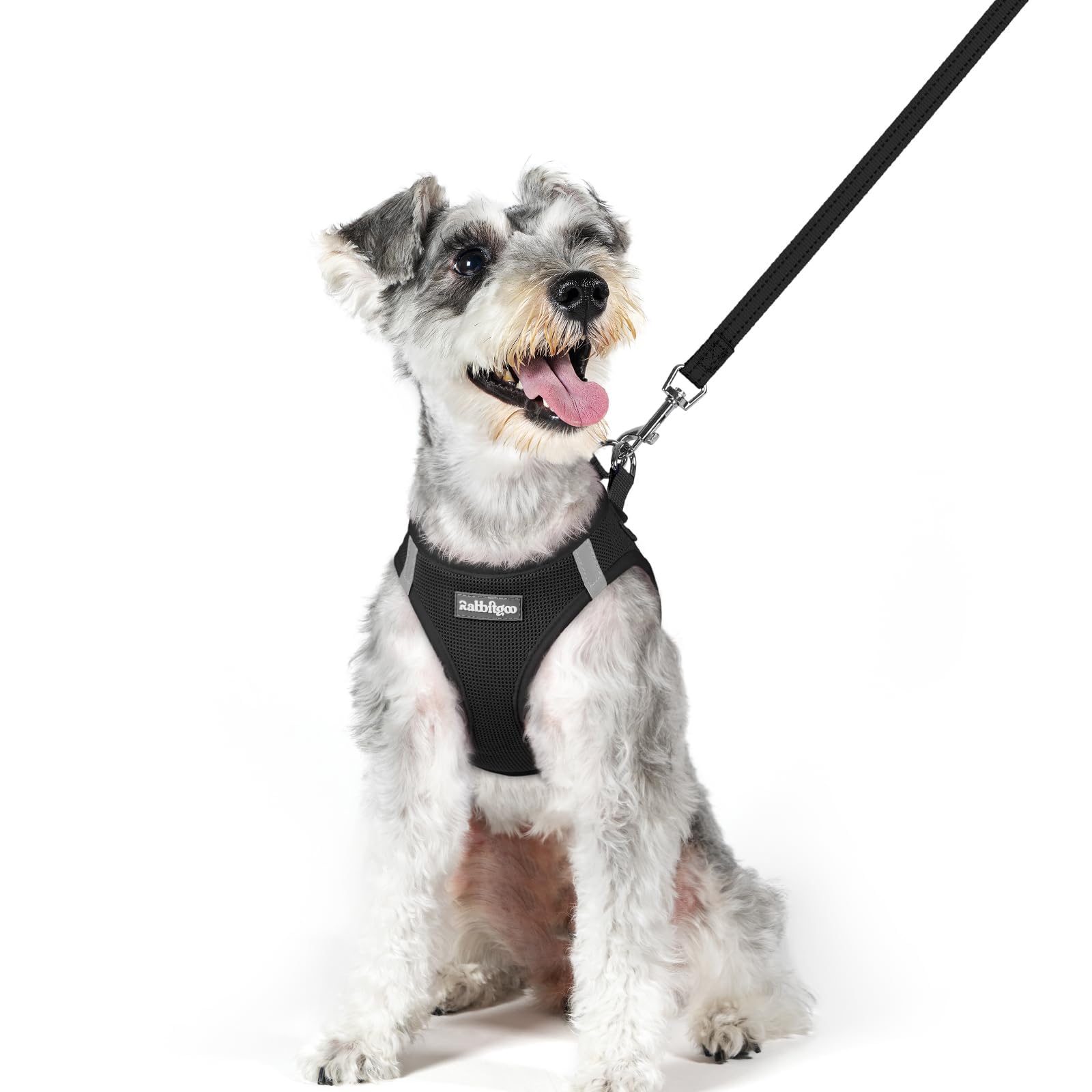 rabbitgoo Reflective Mesh Dog Harness & Leash Set