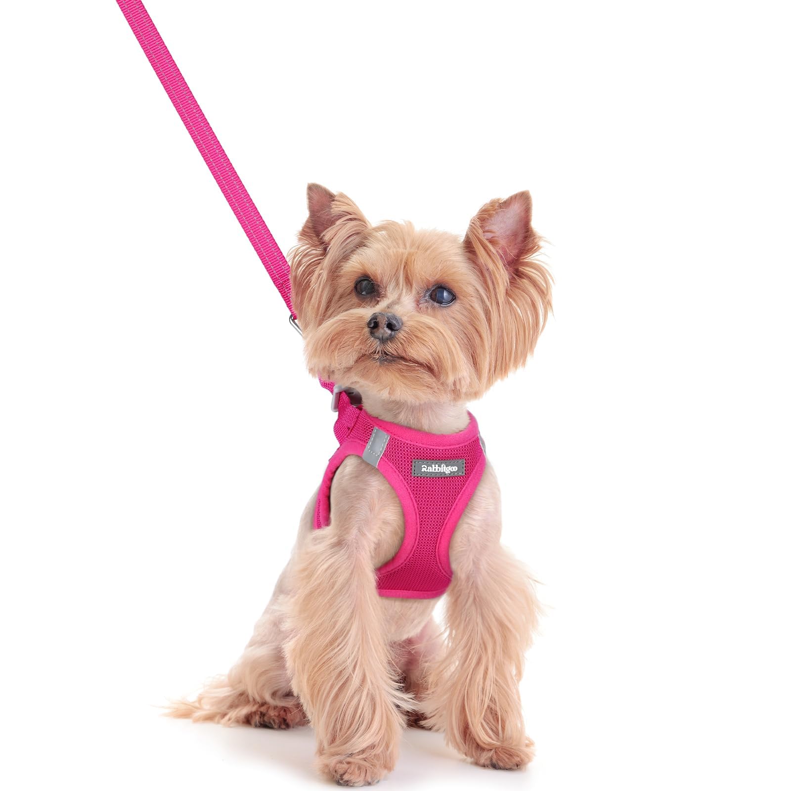 rabbitgoo Reflective Mesh Dog Harness & Leash Set