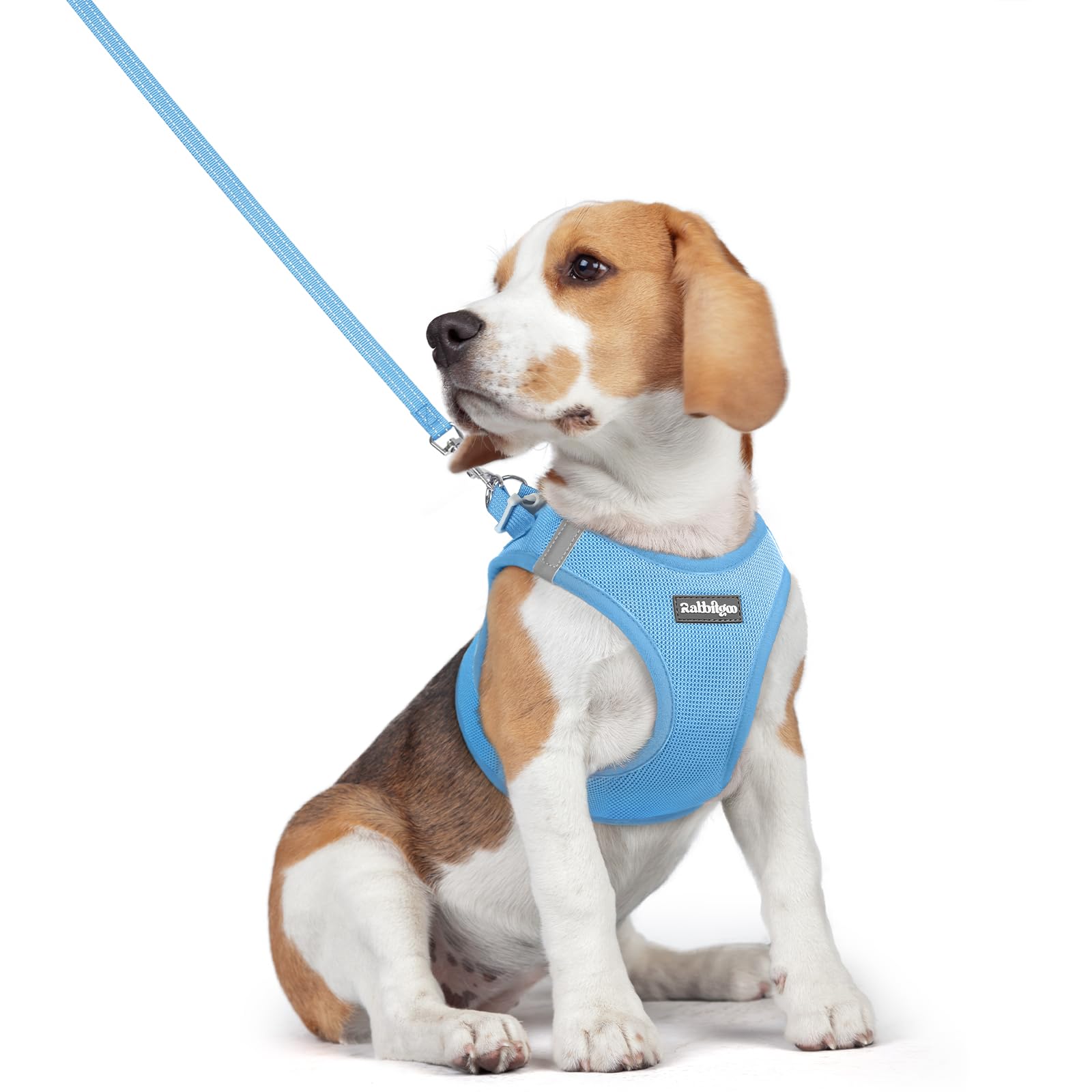 rabbitgoo Reflective Mesh Dog Harness & Leash Set