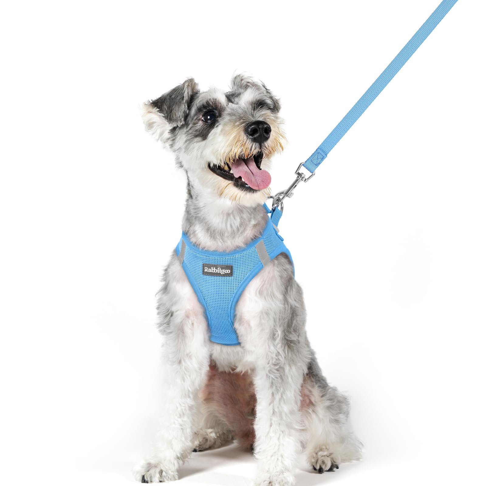rabbitgoo Reflective Mesh Dog Harness & Leash Set