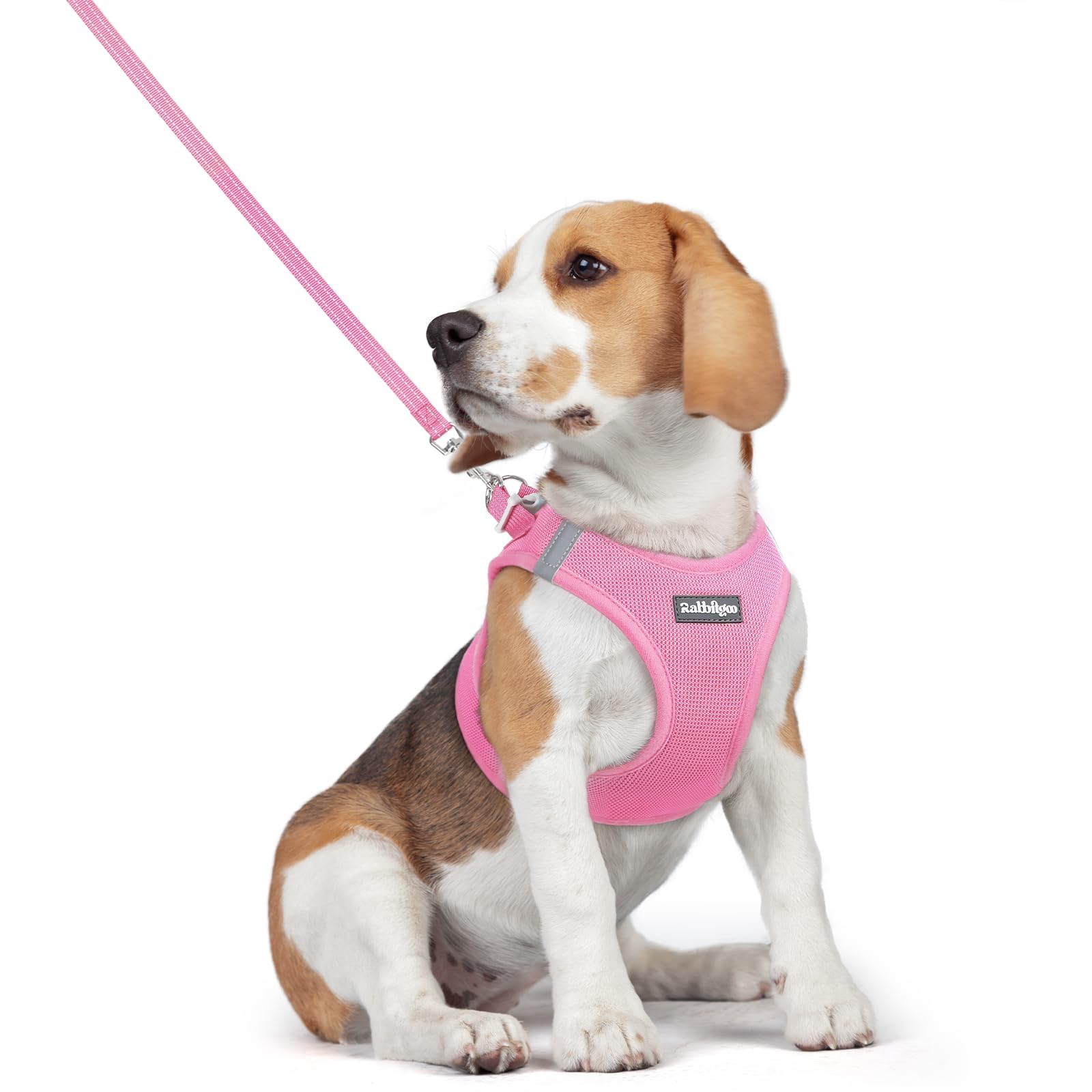 rabbitgoo Reflective Mesh Dog Harness & Leash Set