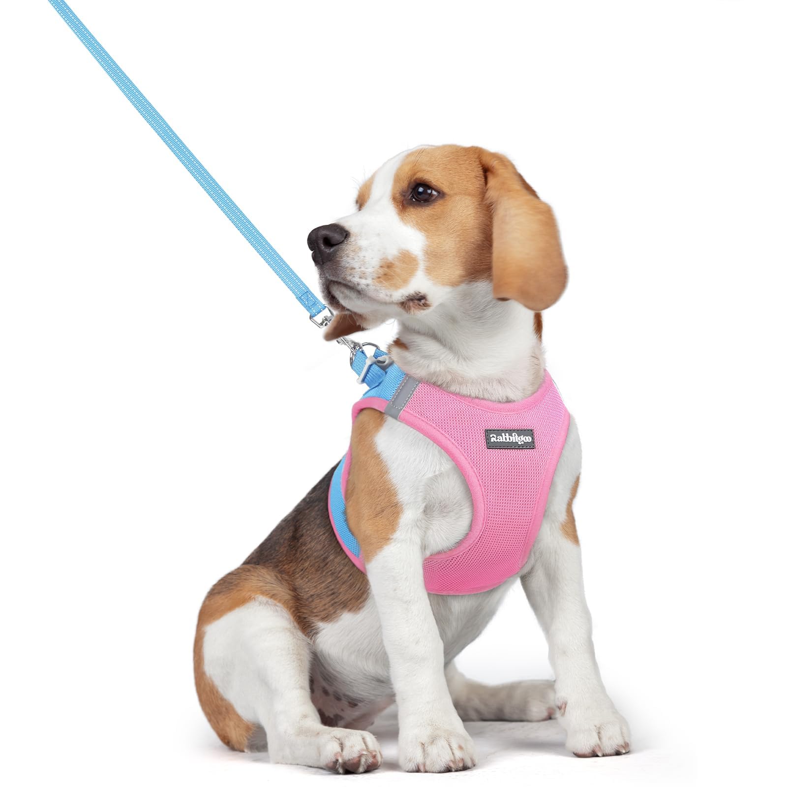 rabbitgoo Reflective Mesh Dog Harness & Leash Set