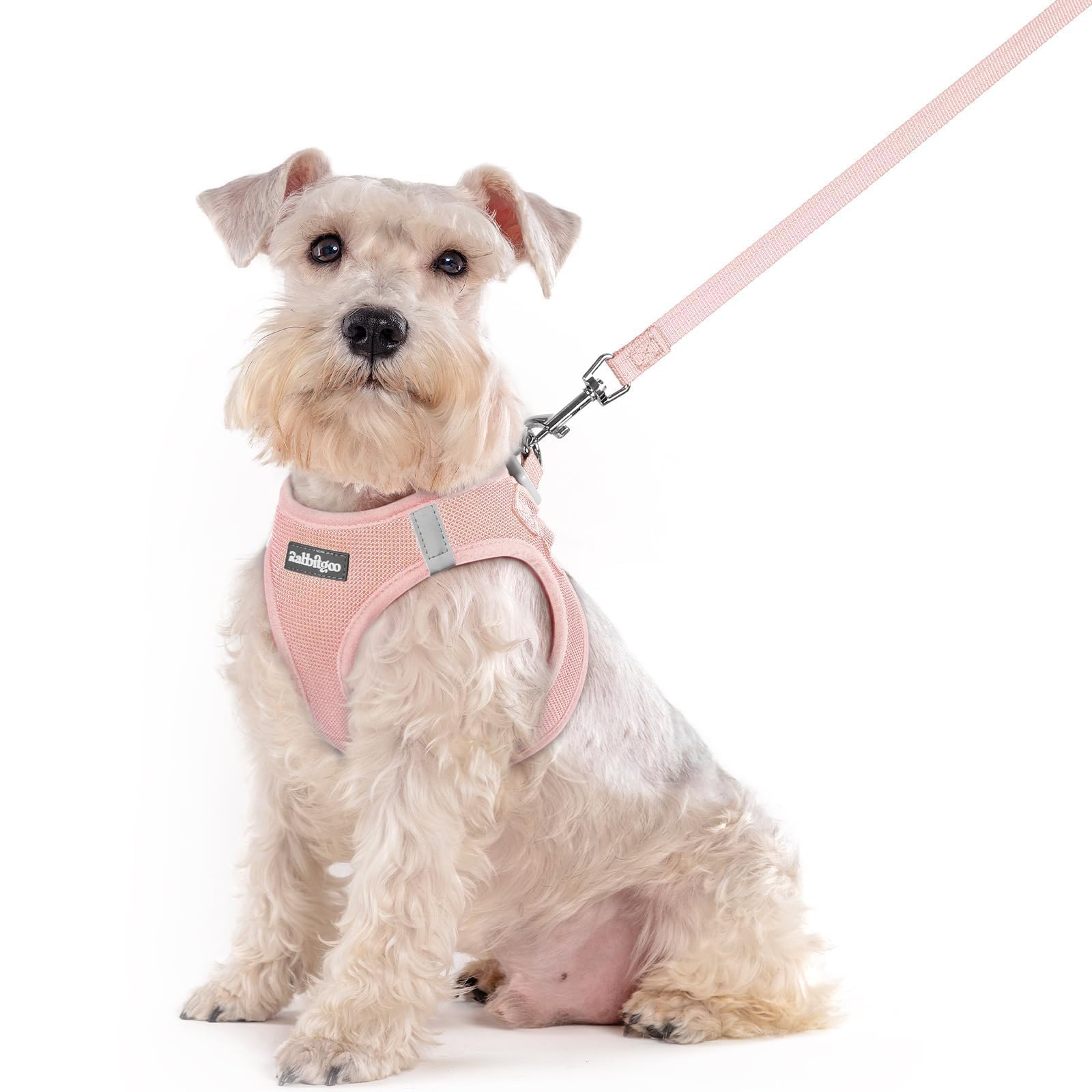 rabbitgoo Reflective Mesh Dog Harness & Leash Set