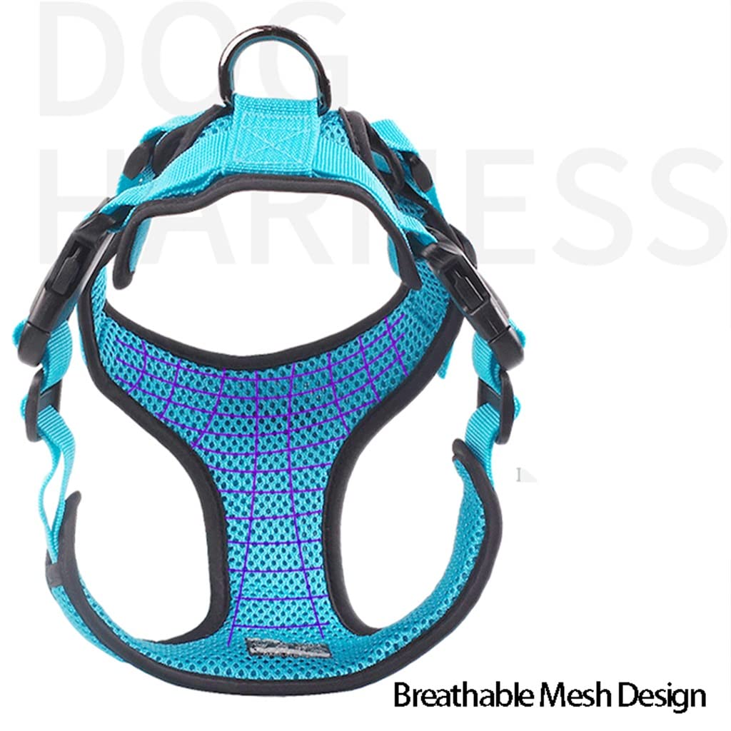 Adjustable Breathable Mesh Harness Vest for Dogs & Cats