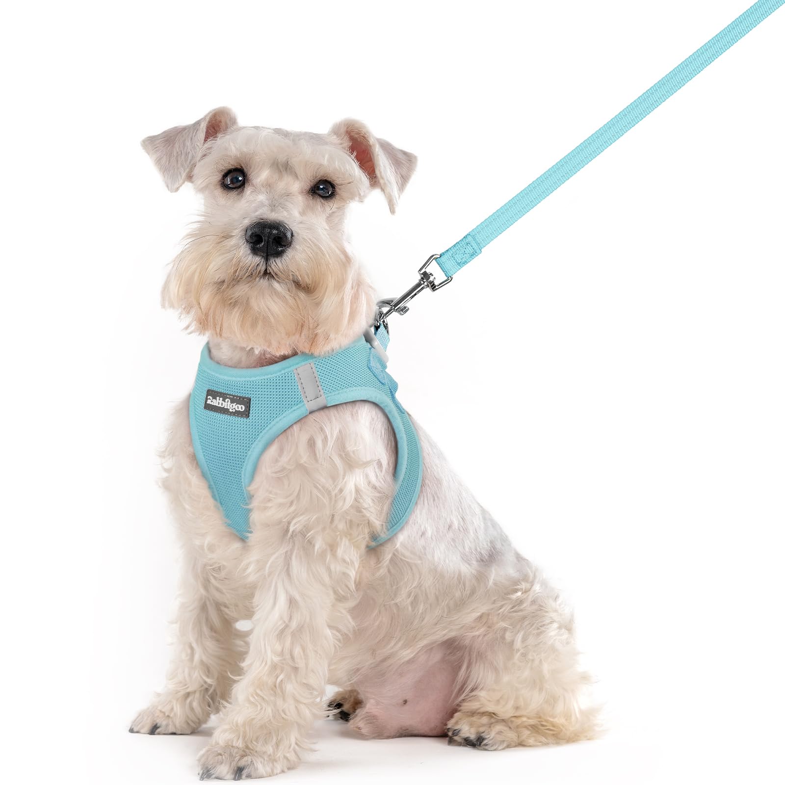 rabbitgoo Reflective Mesh Dog Harness & Leash Set