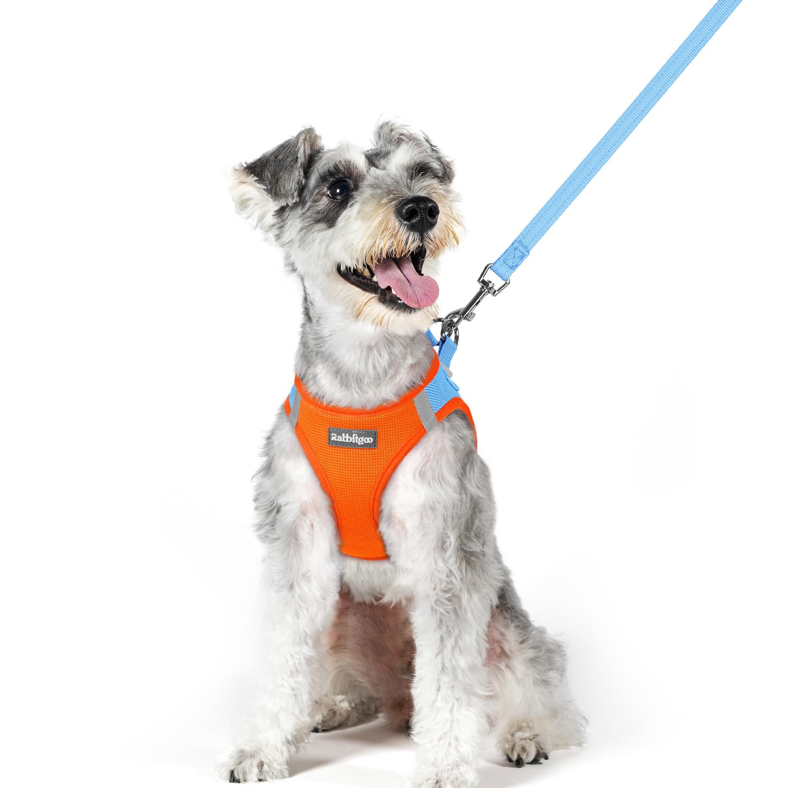 rabbitgoo Reflective Mesh Dog Harness & Leash Set