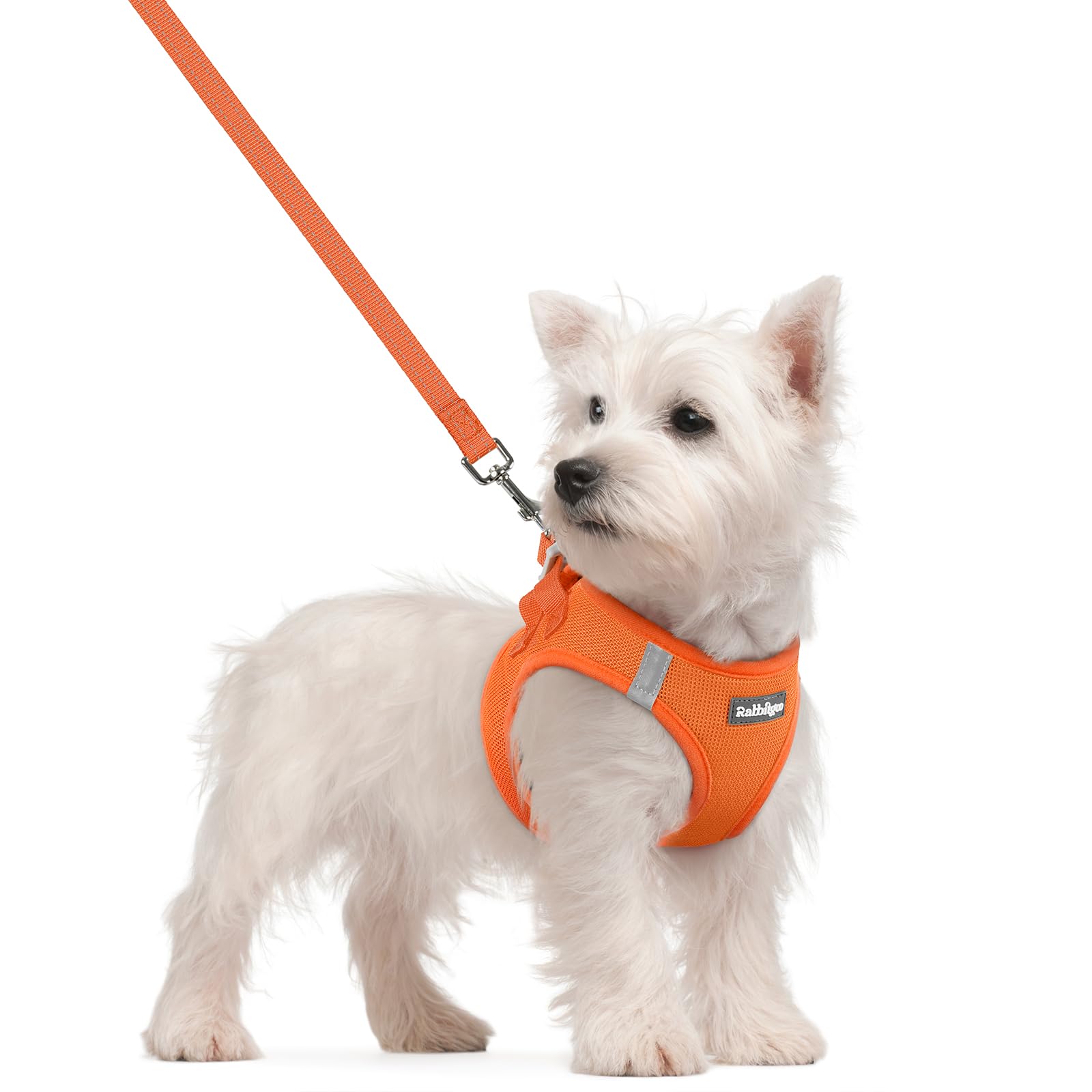 rabbitgoo Reflective Mesh Dog Harness & Leash Set