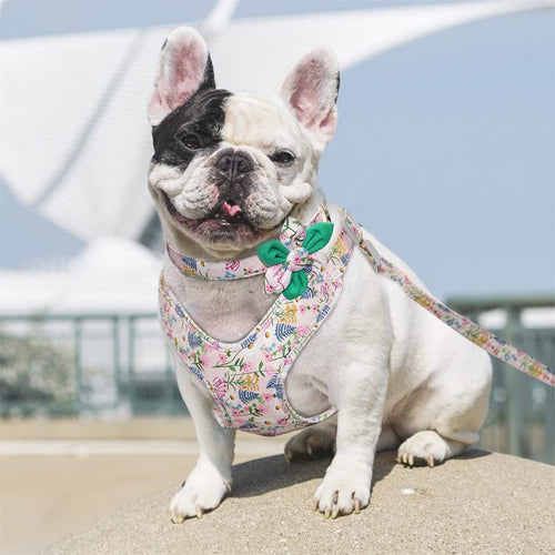 Adjustable Breathable Mesh Harness Vest for Dogs & Cats