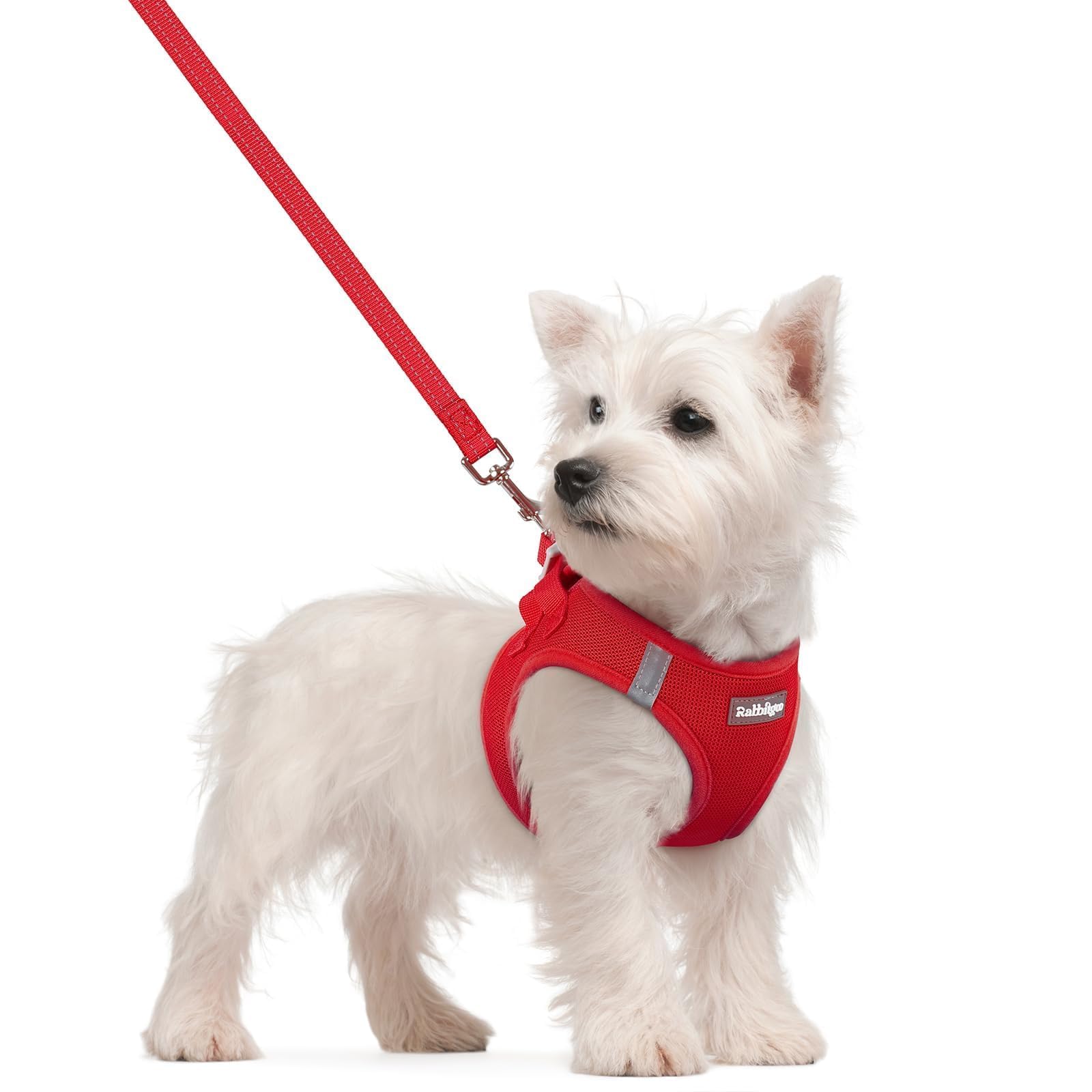 rabbitgoo Reflective Mesh Dog Harness & Leash Set