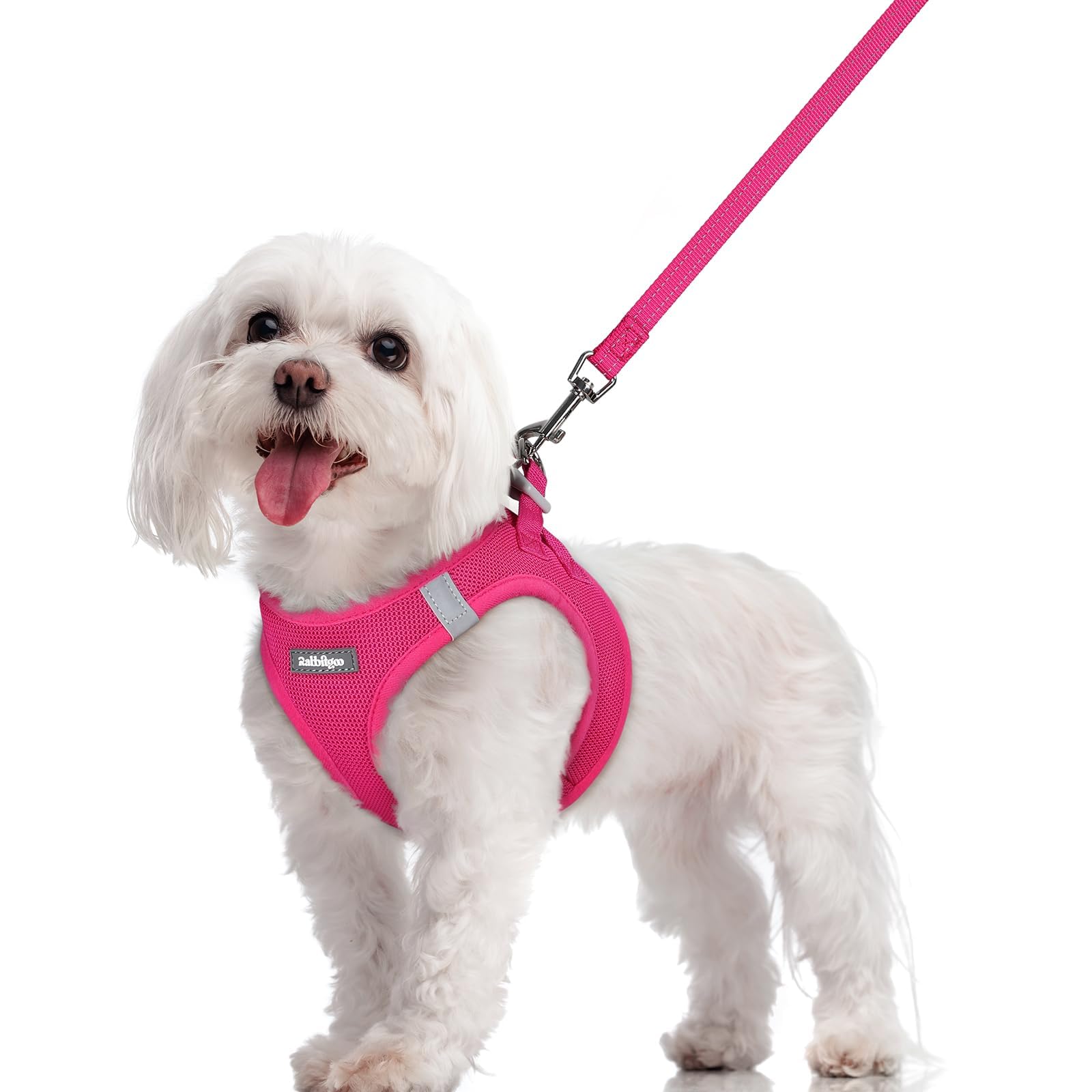 rabbitgoo Reflective Mesh Dog Harness & Leash Set