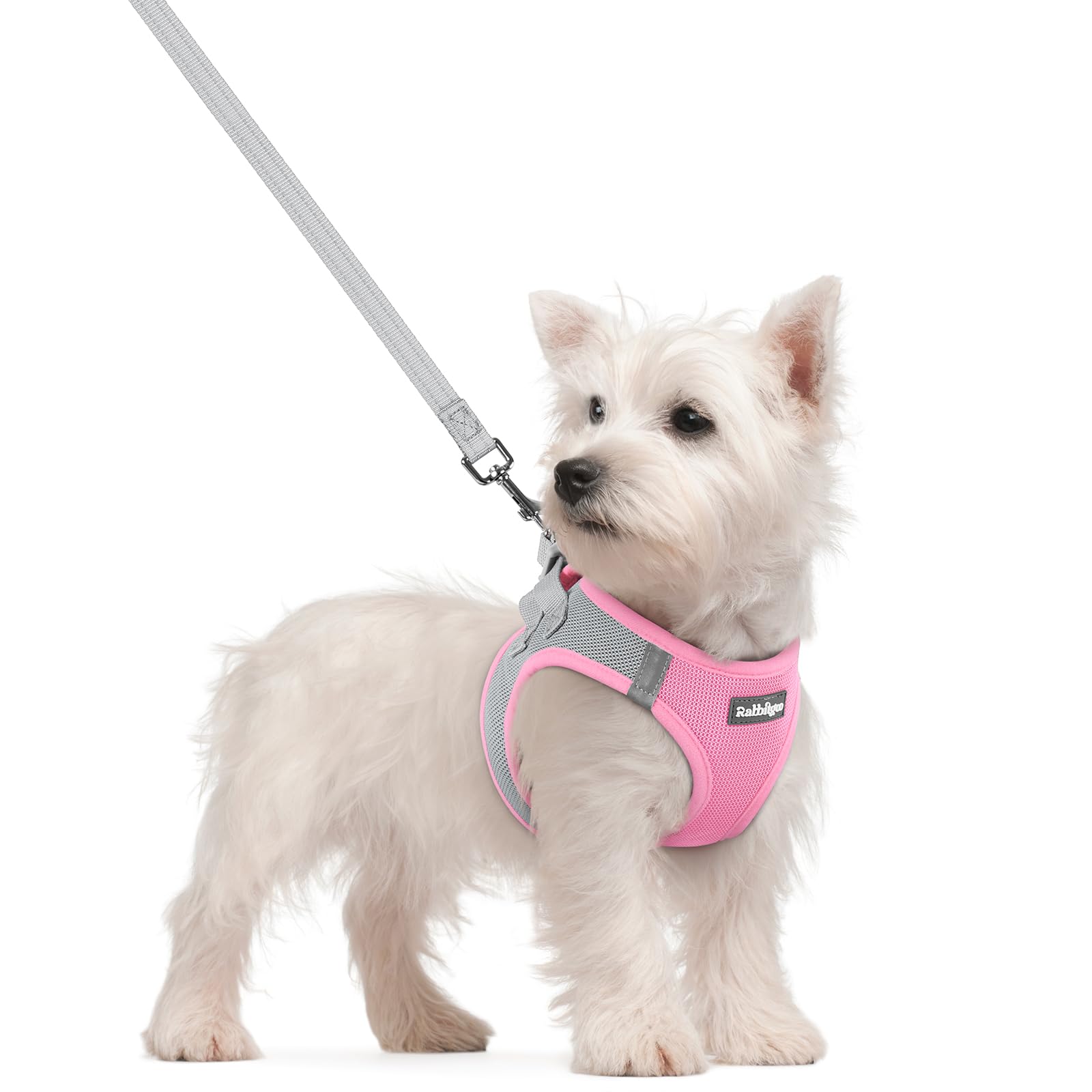 rabbitgoo Reflective Mesh Dog Harness & Leash Set