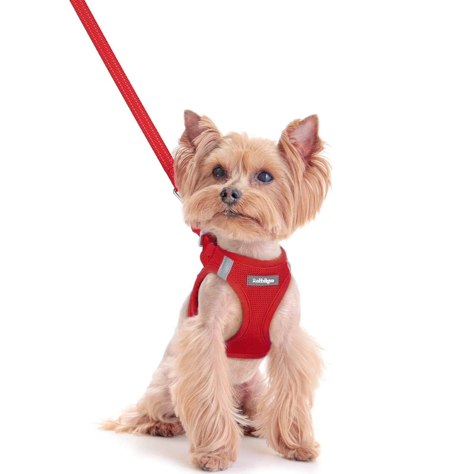 rabbitgoo Reflective Mesh Dog Harness & Leash Set