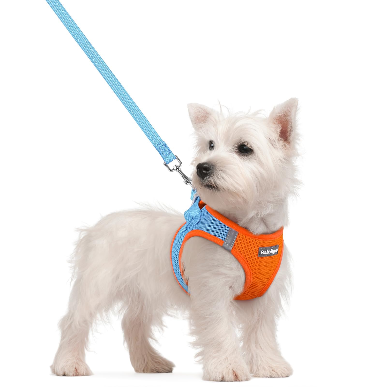 rabbitgoo Reflective Mesh Dog Harness & Leash Set
