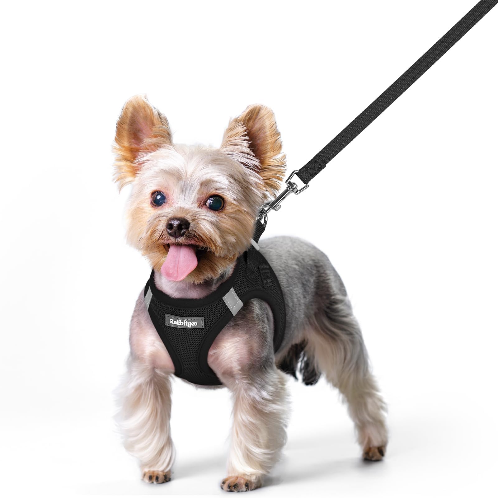 rabbitgoo Reflective Mesh Dog Harness & Leash Set