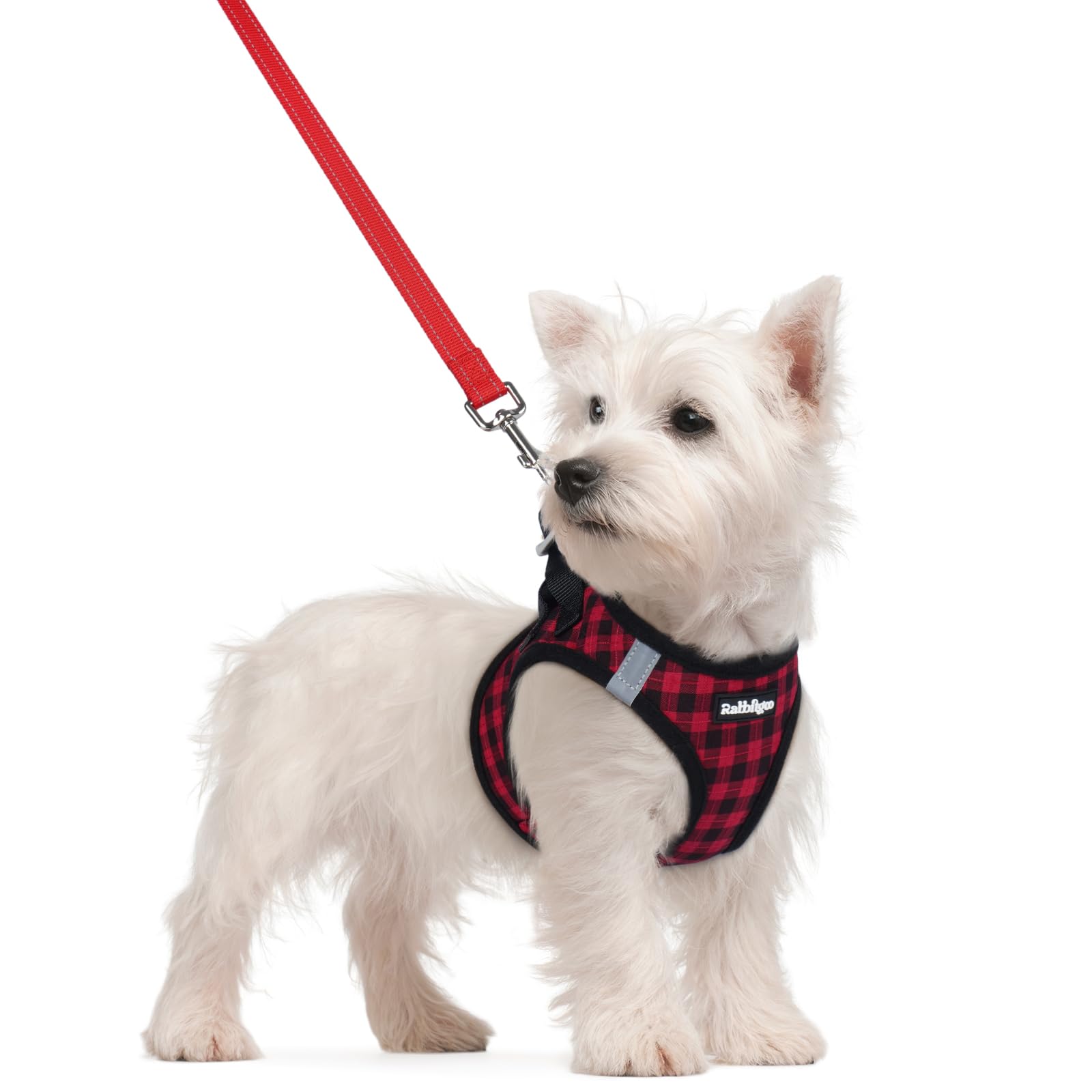 rabbitgoo Reflective Mesh Dog Harness & Leash Set