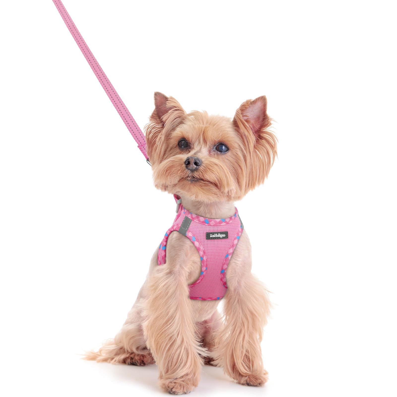 rabbitgoo Reflective Mesh Dog Harness & Leash Set