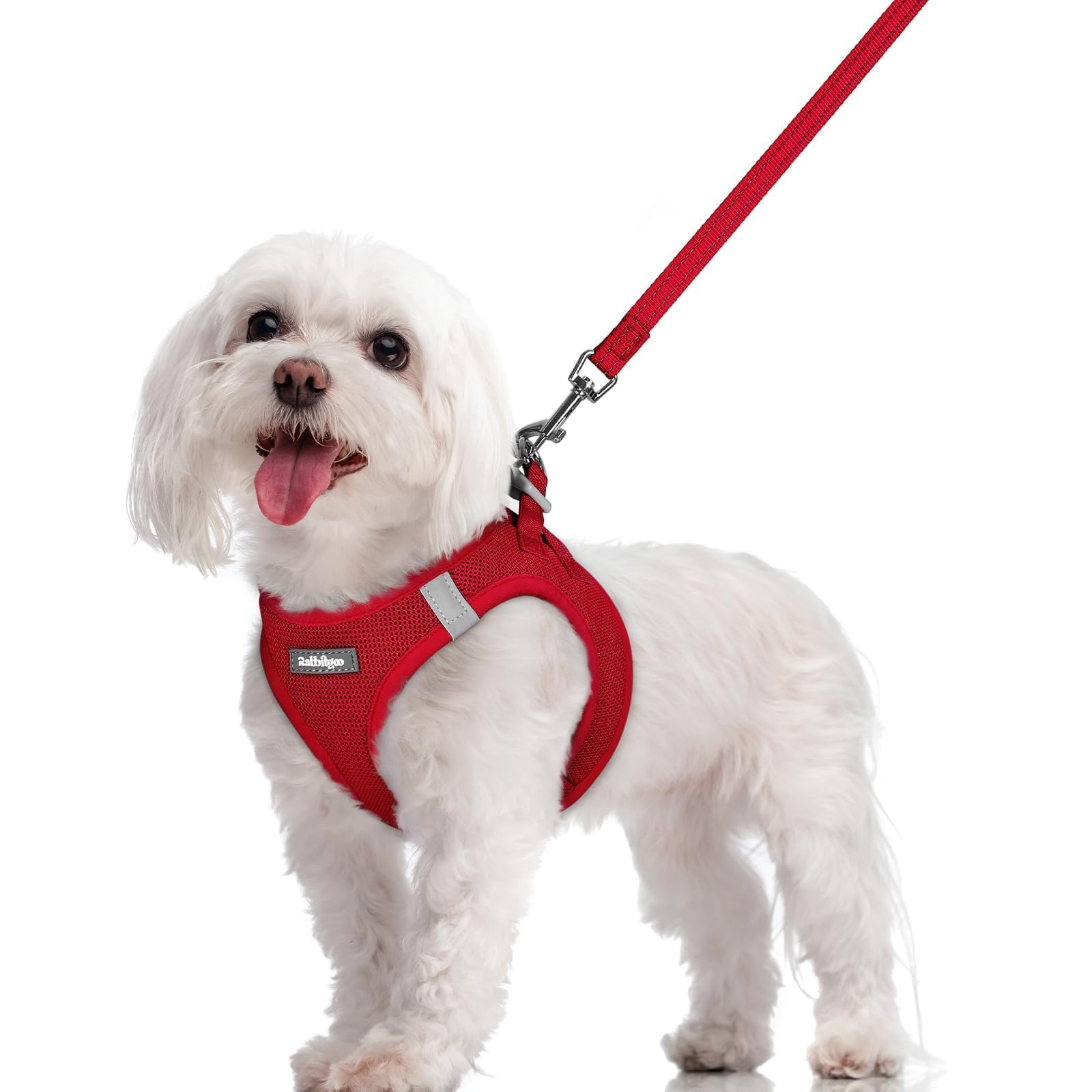 rabbitgoo Reflective Mesh Dog Harness & Leash Set