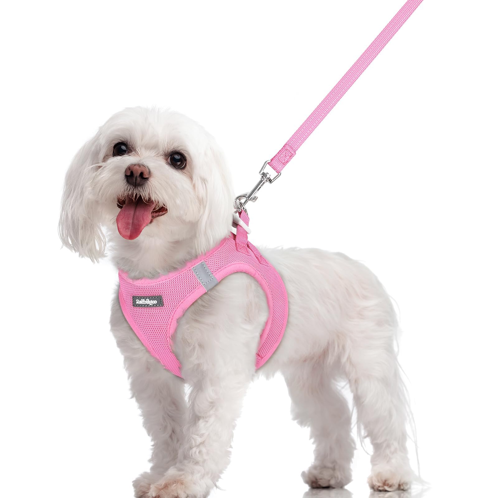 rabbitgoo Reflective Mesh Dog Harness & Leash Set