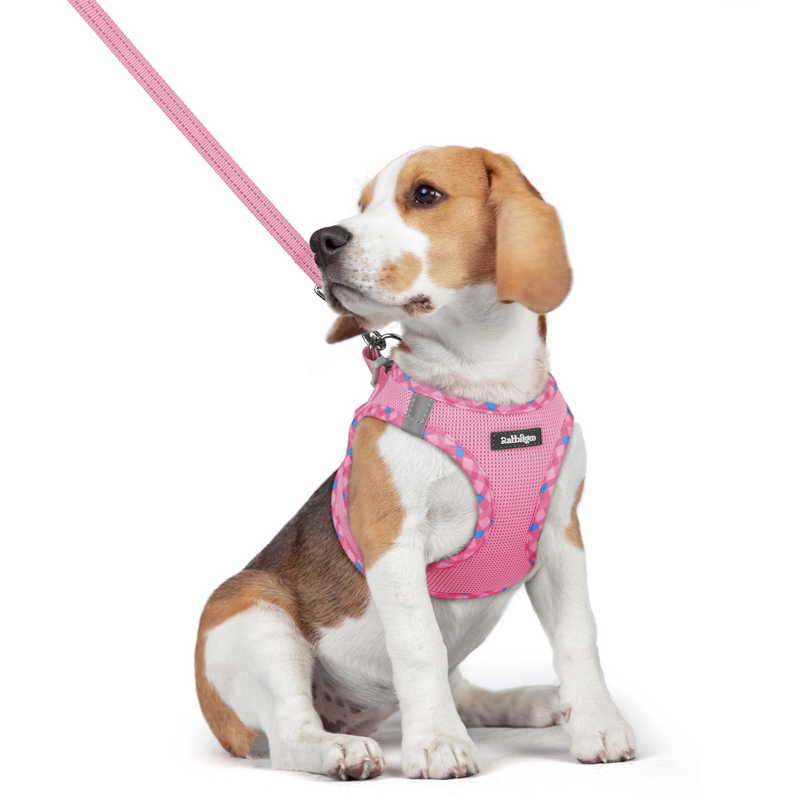 rabbitgoo Reflective Mesh Dog Harness & Leash Set