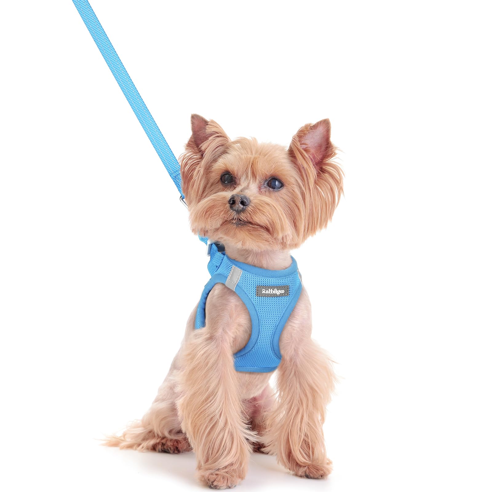 rabbitgoo Reflective Mesh Dog Harness & Leash Set