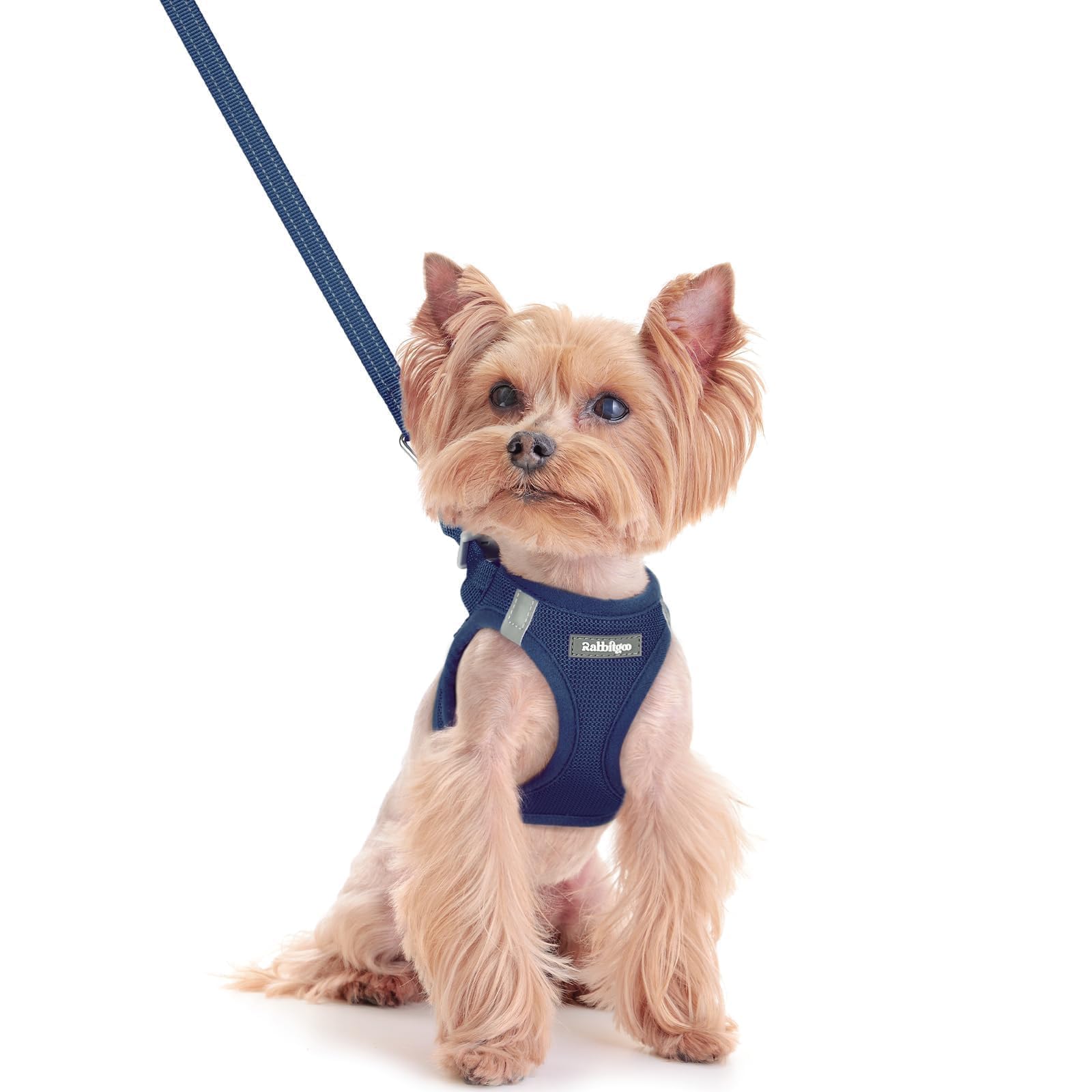 rabbitgoo Reflective Mesh Dog Harness & Leash Set