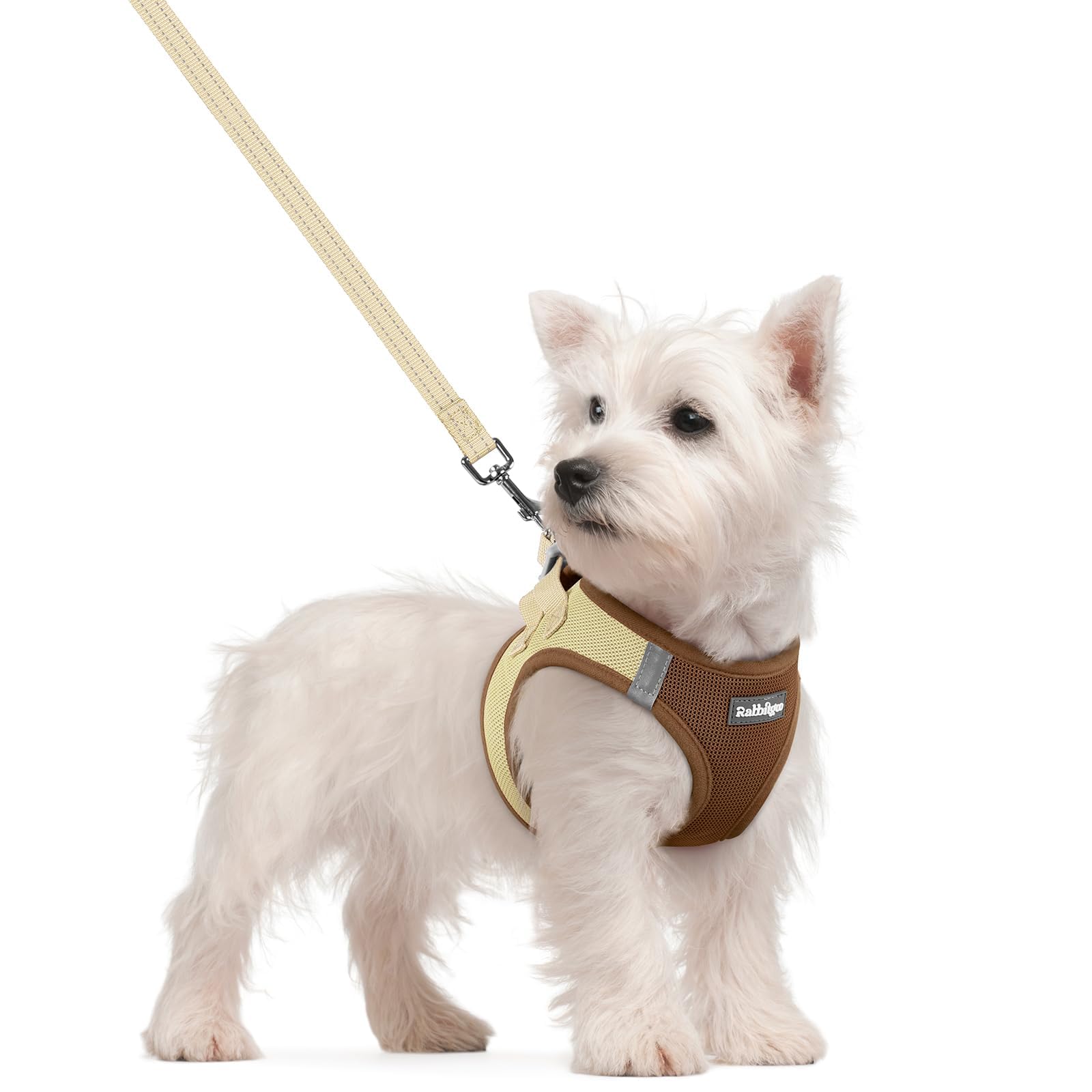 rabbitgoo Reflective Mesh Dog Harness & Leash Set