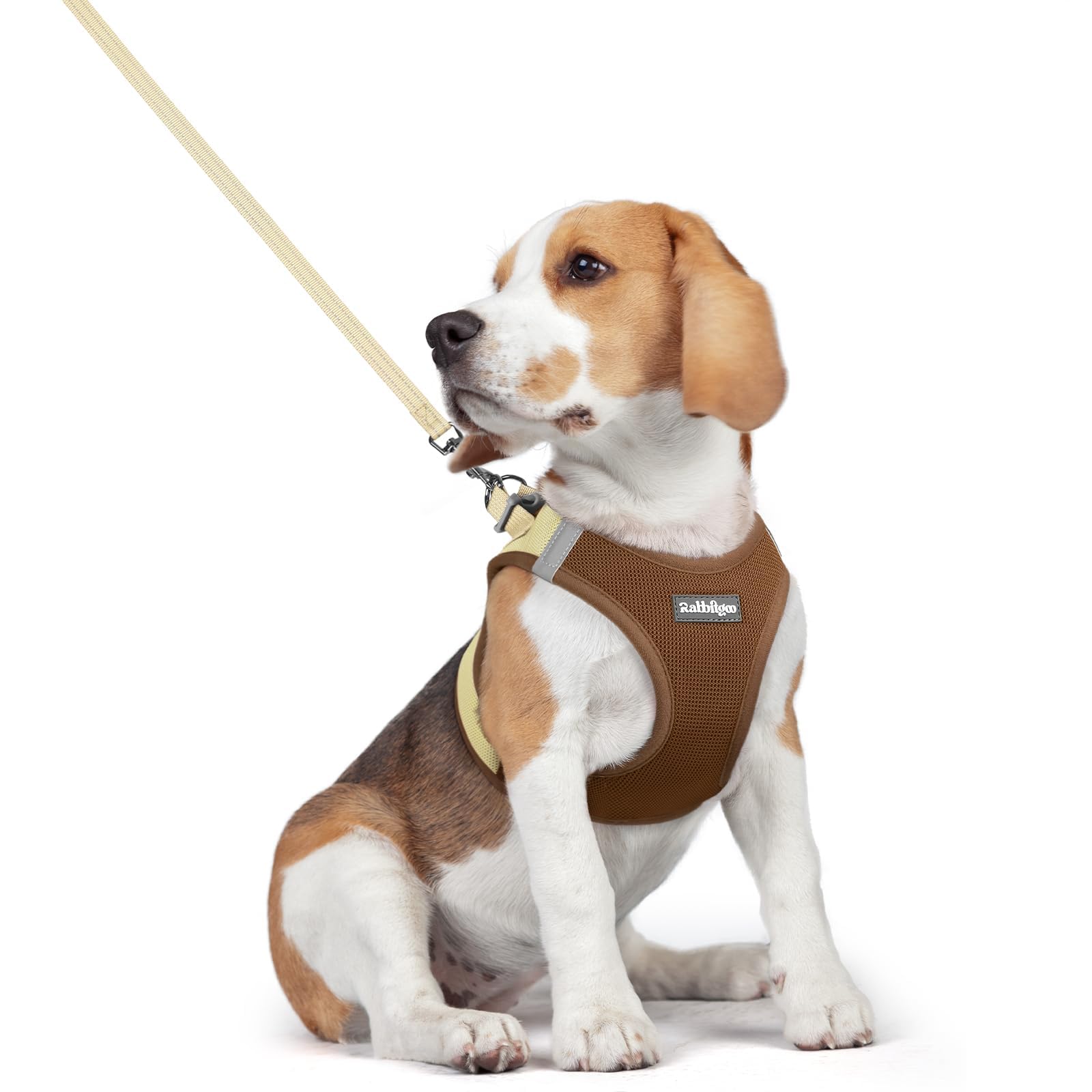 rabbitgoo Reflective Mesh Dog Harness & Leash Set