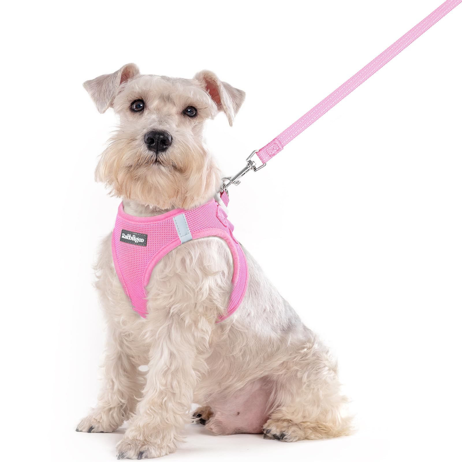 rabbitgoo Reflective Mesh Dog Harness & Leash Set