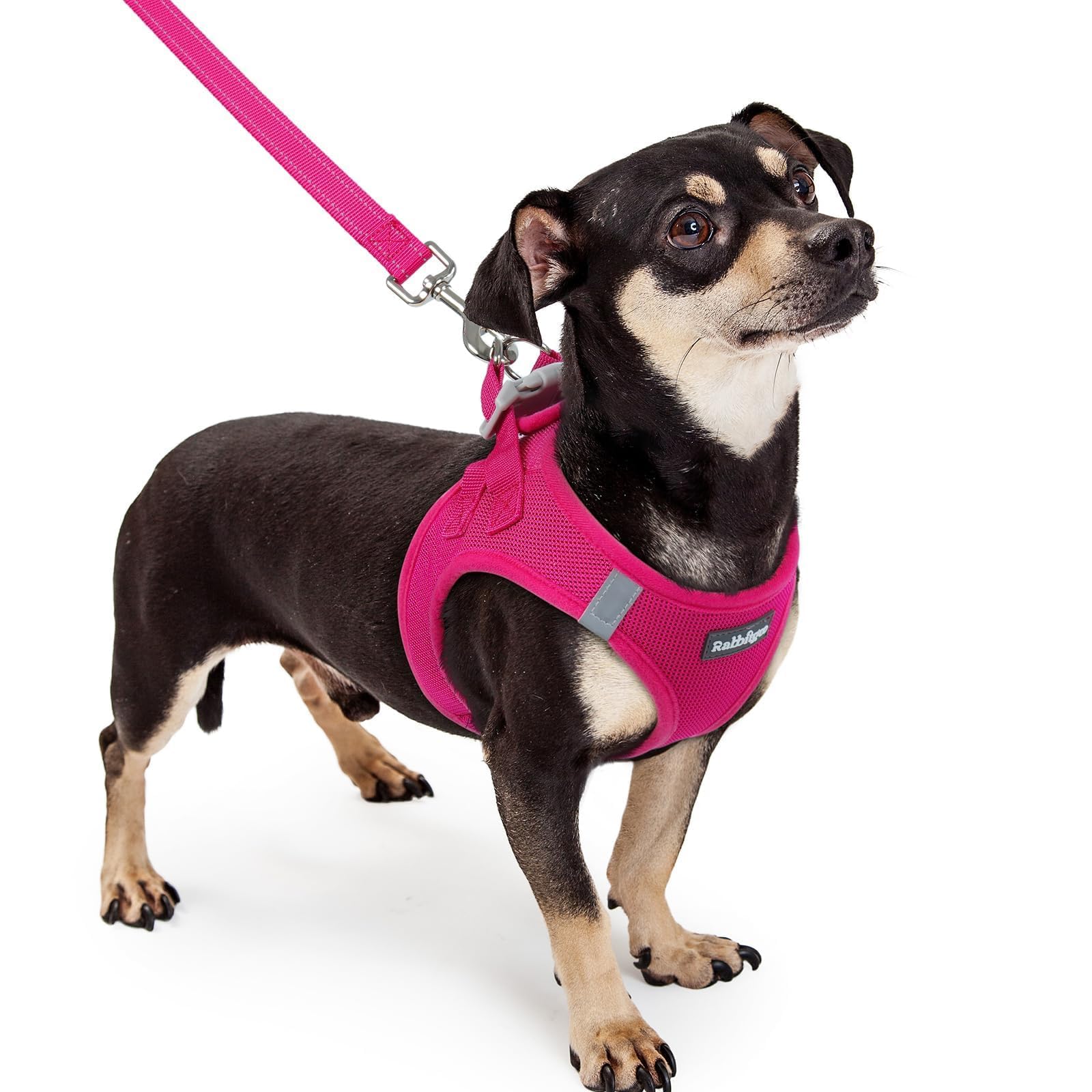 rabbitgoo Reflective Mesh Dog Harness & Leash Set