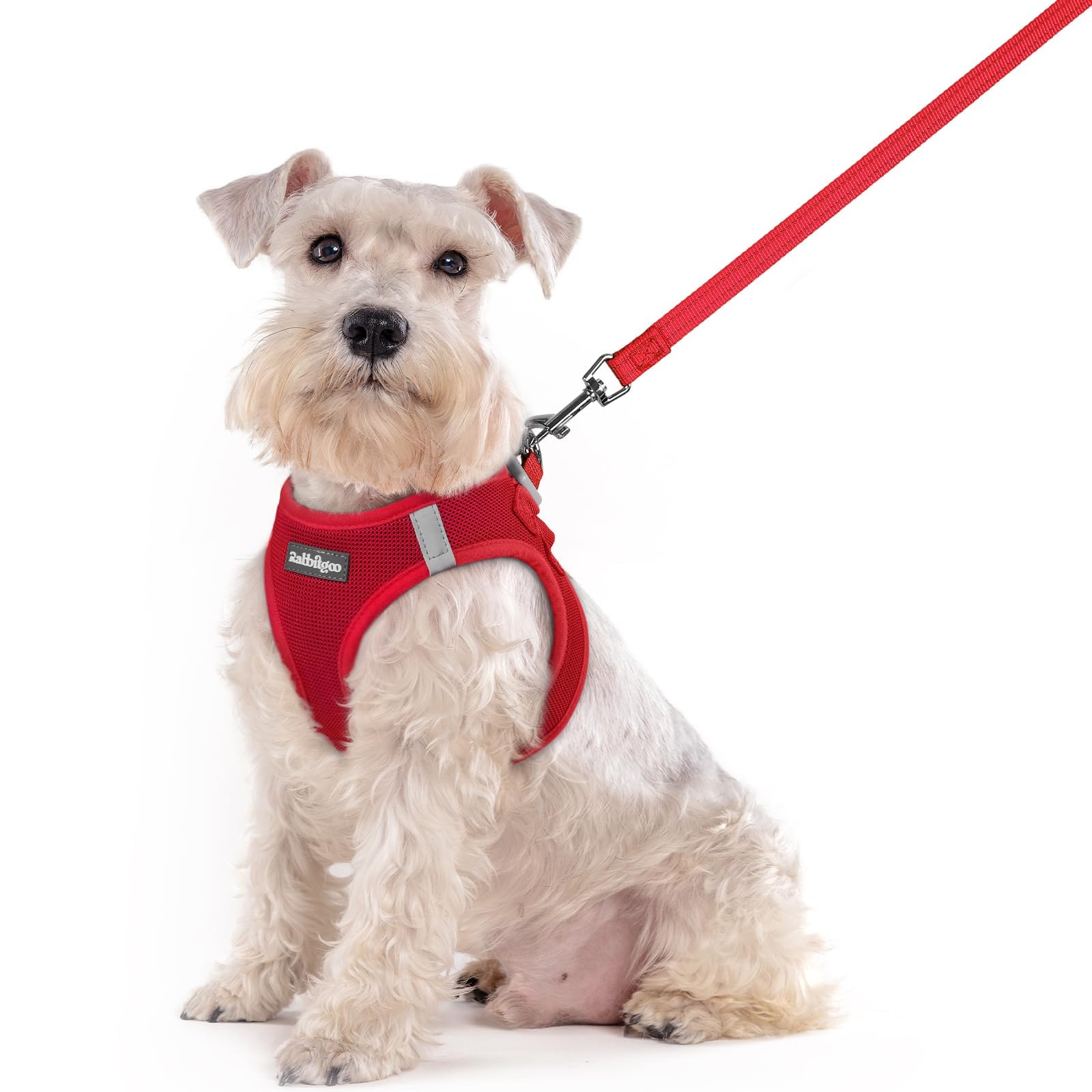 rabbitgoo Reflective Mesh Dog Harness & Leash Set