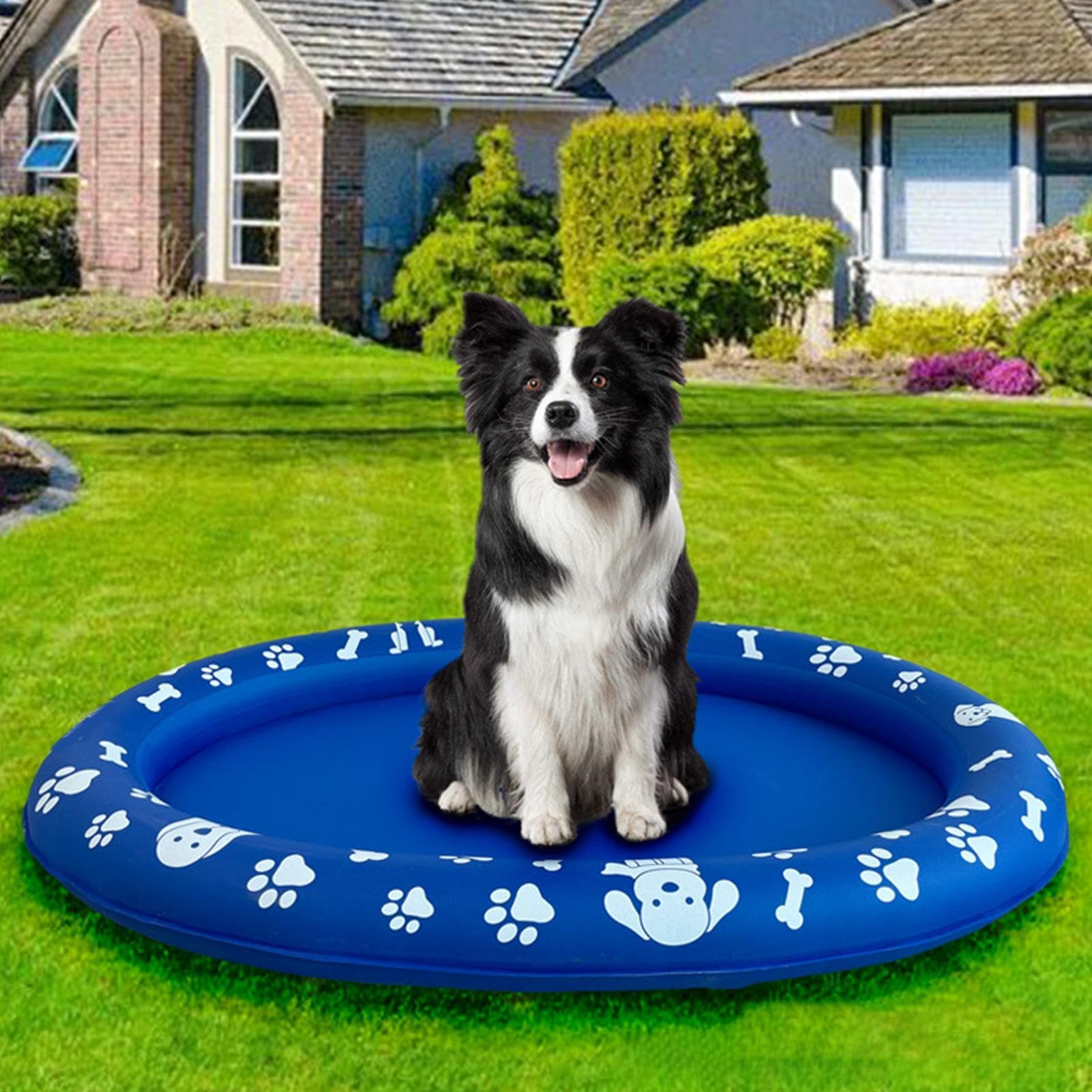 Inflatable Dog Pool & Bathing Tub for Outdoor Water Play