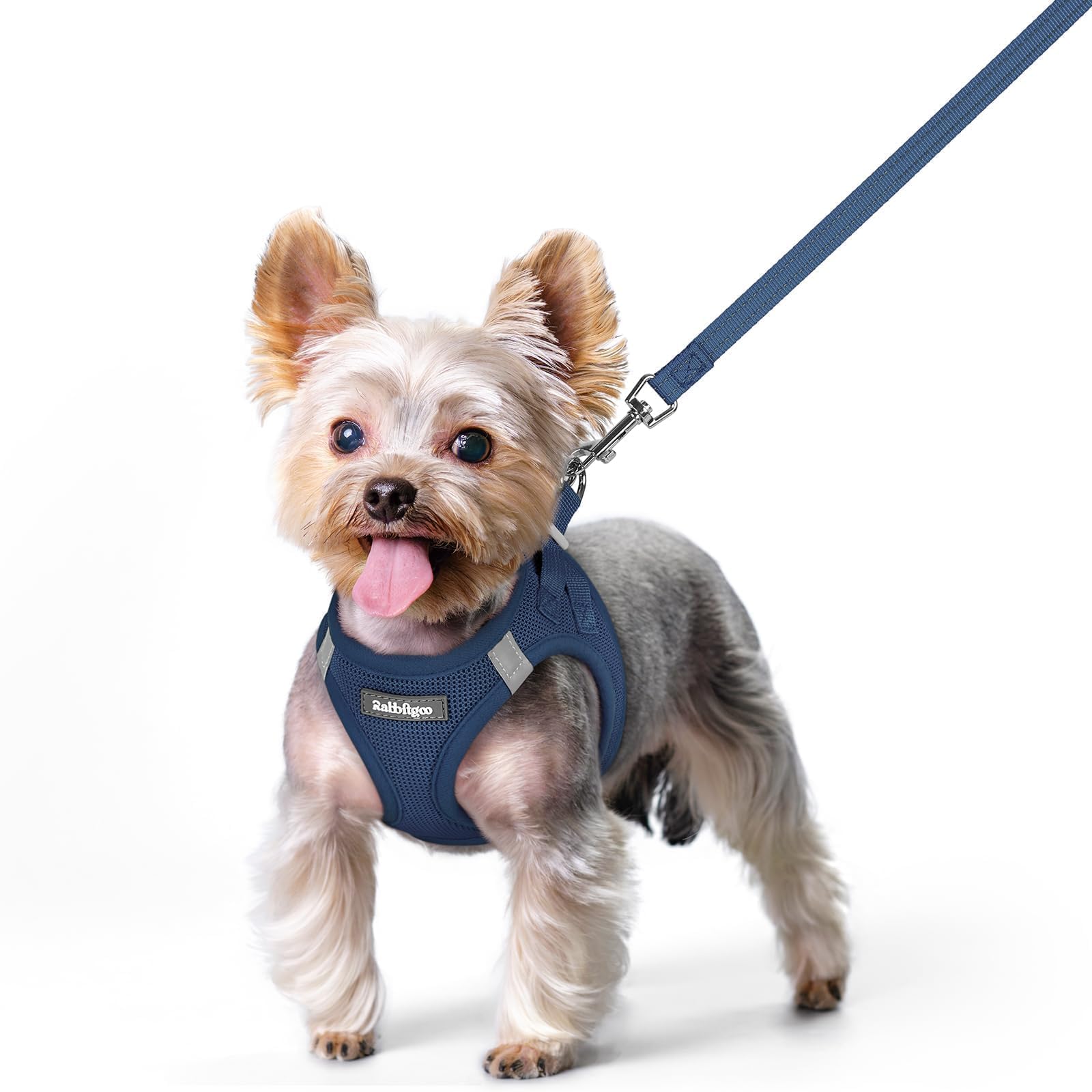 rabbitgoo Reflective Mesh Dog Harness & Leash Set