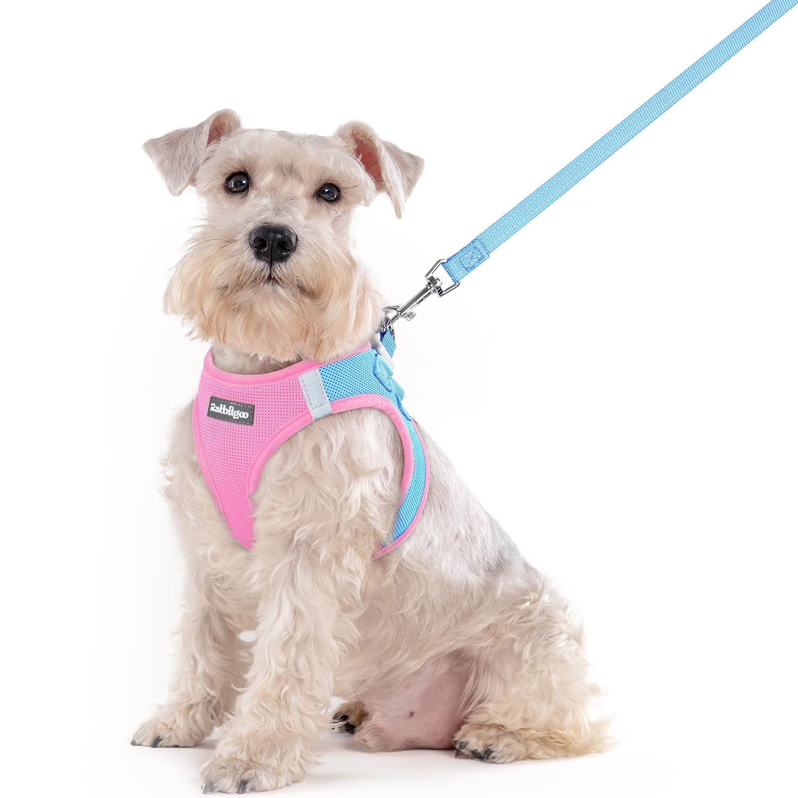 rabbitgoo Reflective Mesh Dog Harness & Leash Set