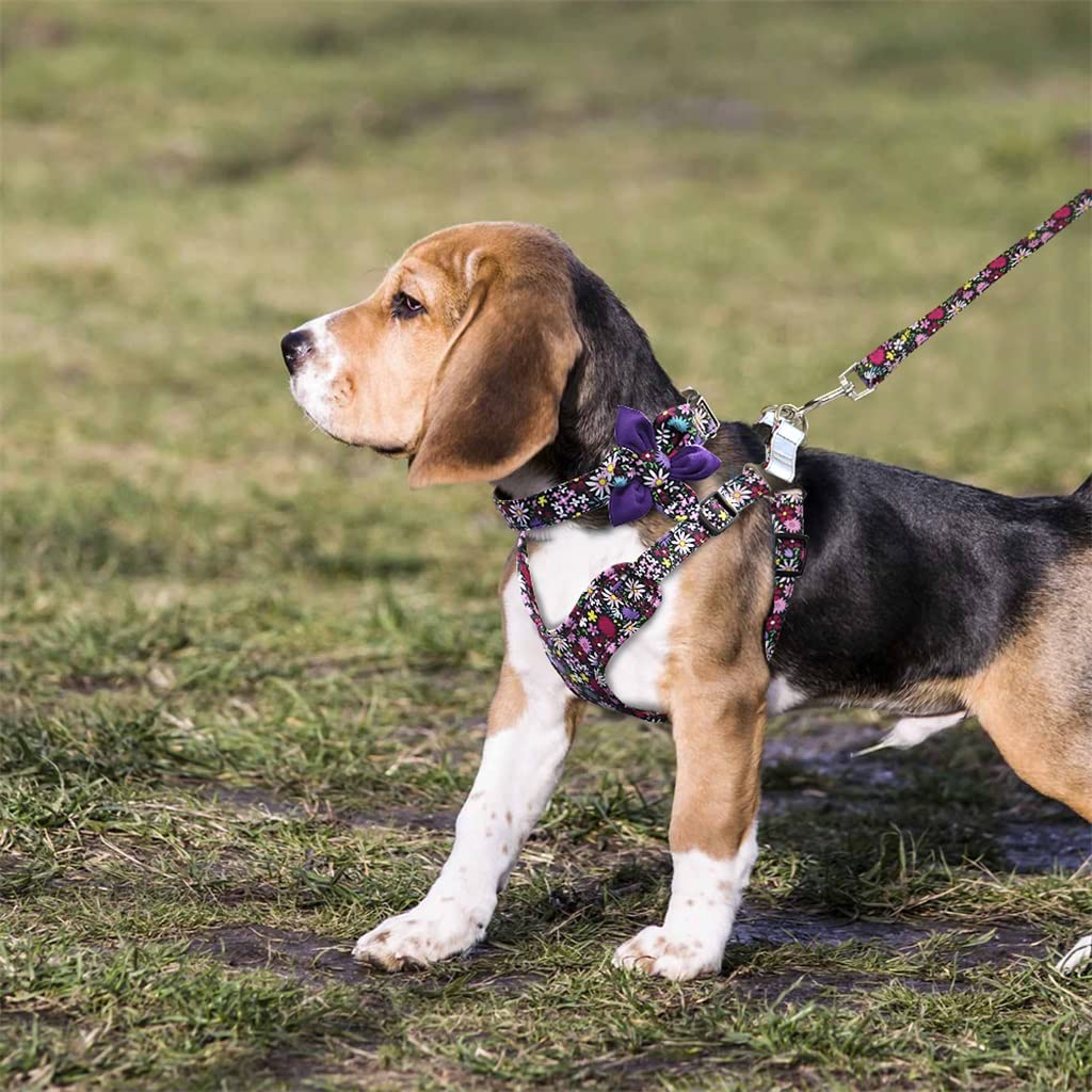 Adjustable Breathable Mesh Harness Vest for Dogs & Cats
