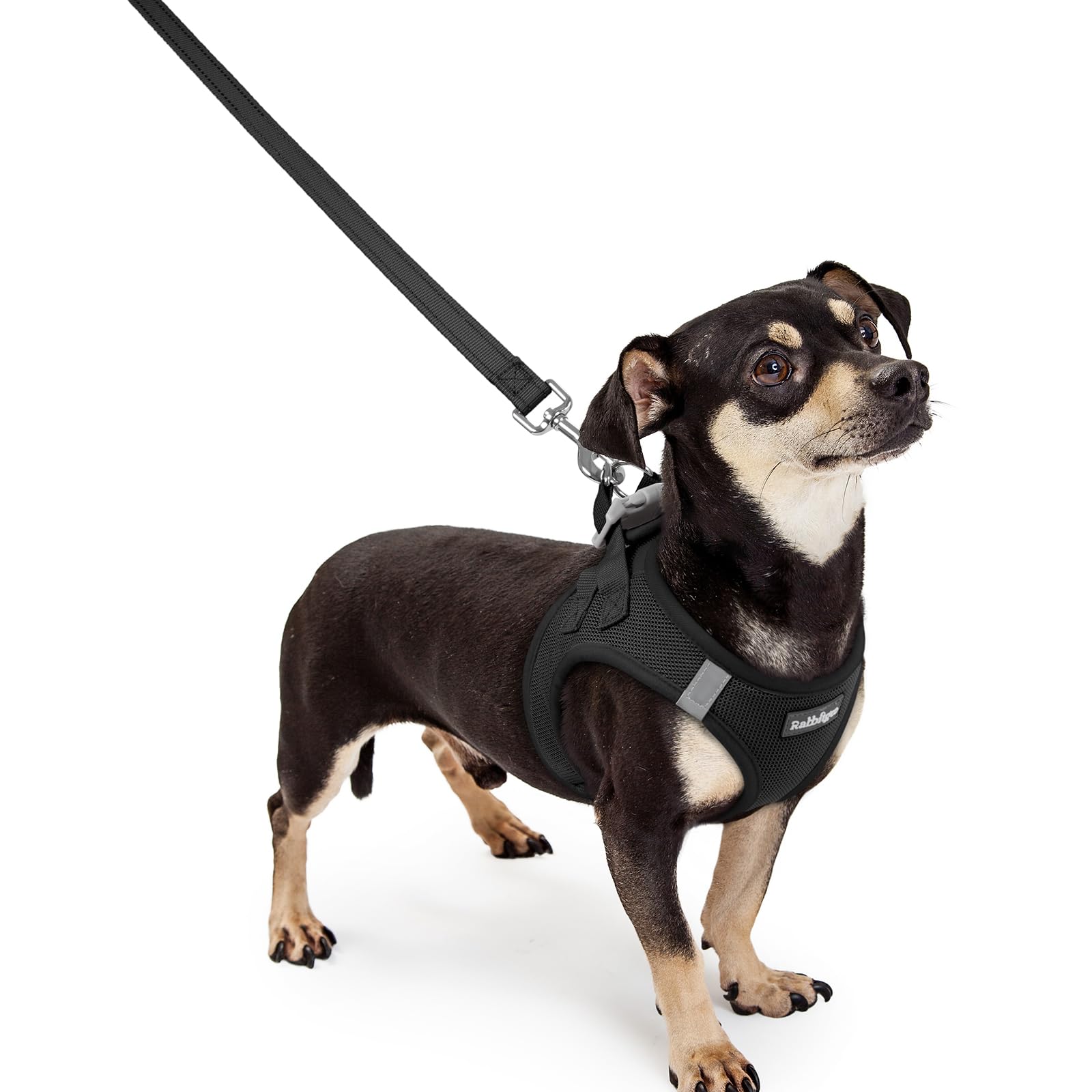 rabbitgoo Reflective Mesh Dog Harness & Leash Set