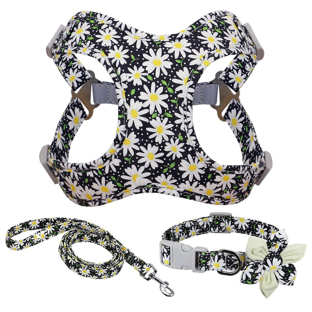Adjustable Breathable Mesh Harness Vest for Dogs & Cats