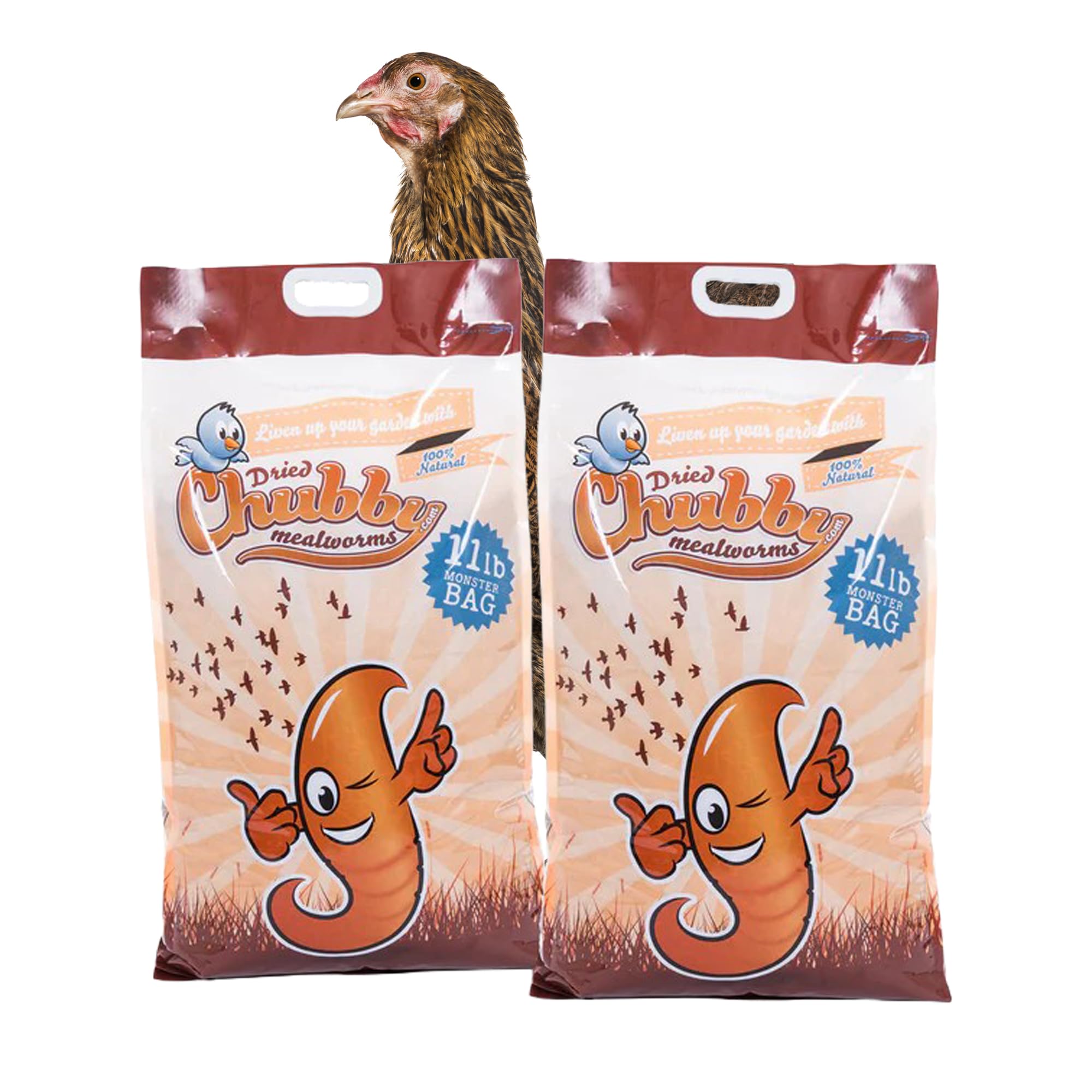 Chubby High-Protein Dried Mealworms for Birds & Poultry