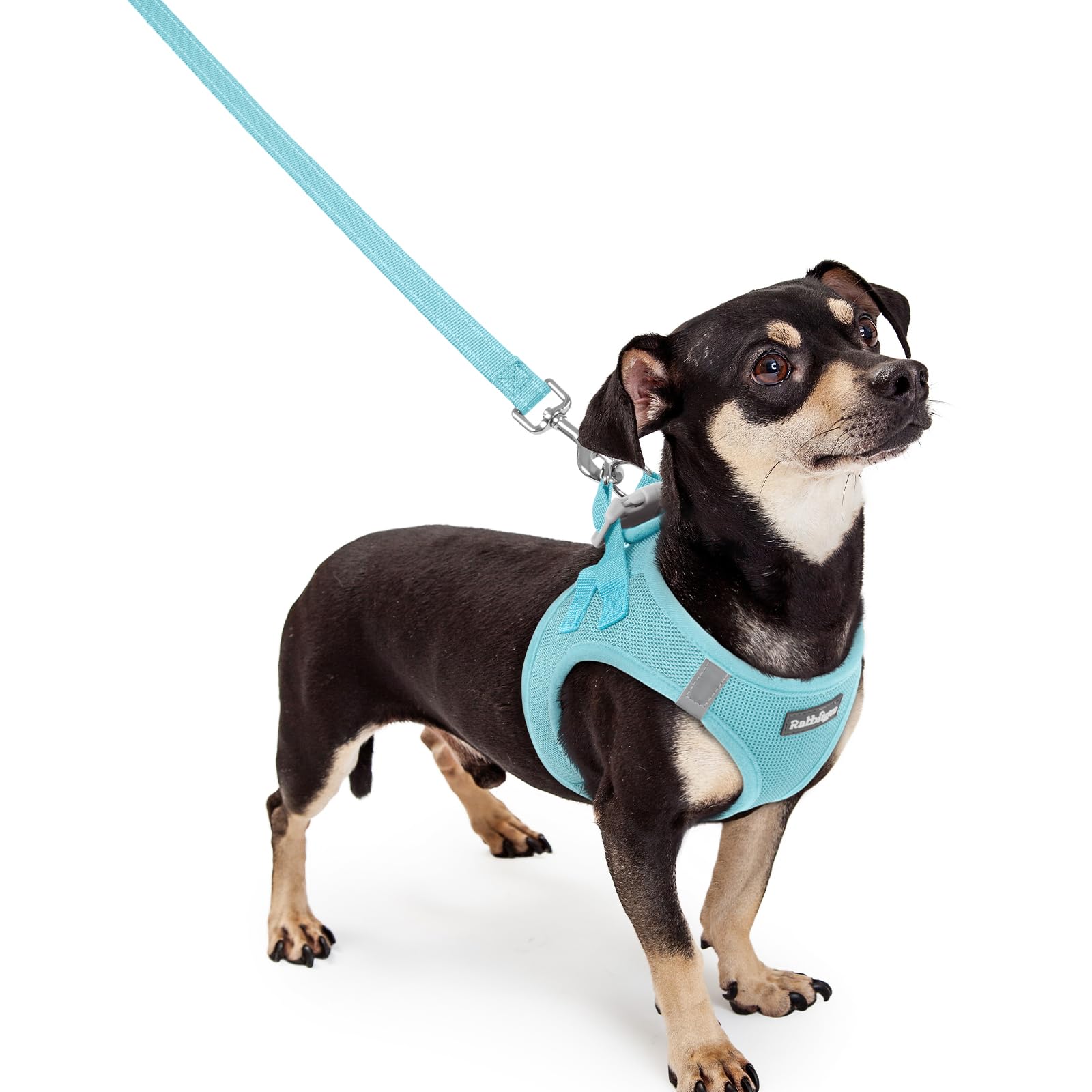 rabbitgoo Reflective Mesh Dog Harness & Leash Set