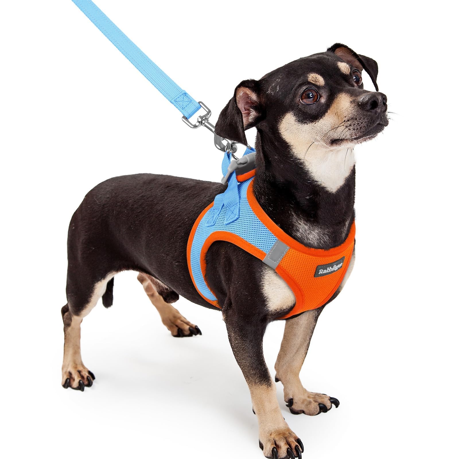 rabbitgoo Reflective Mesh Dog Harness & Leash Set