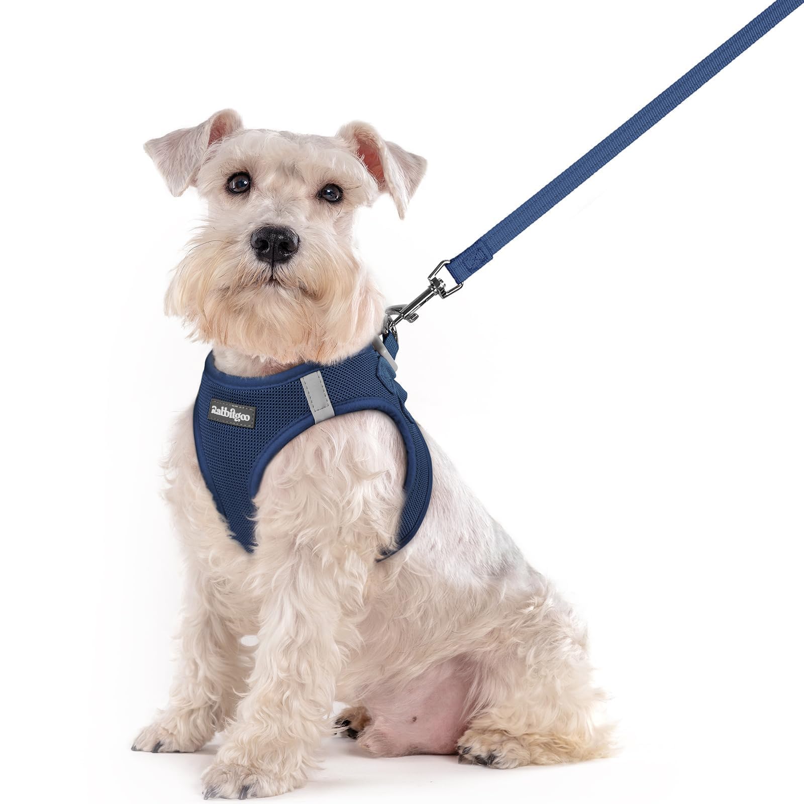 rabbitgoo Reflective Mesh Dog Harness & Leash Set