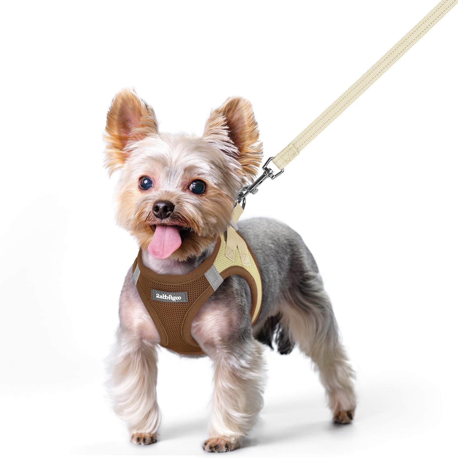 rabbitgoo Reflective Mesh Dog Harness & Leash Set