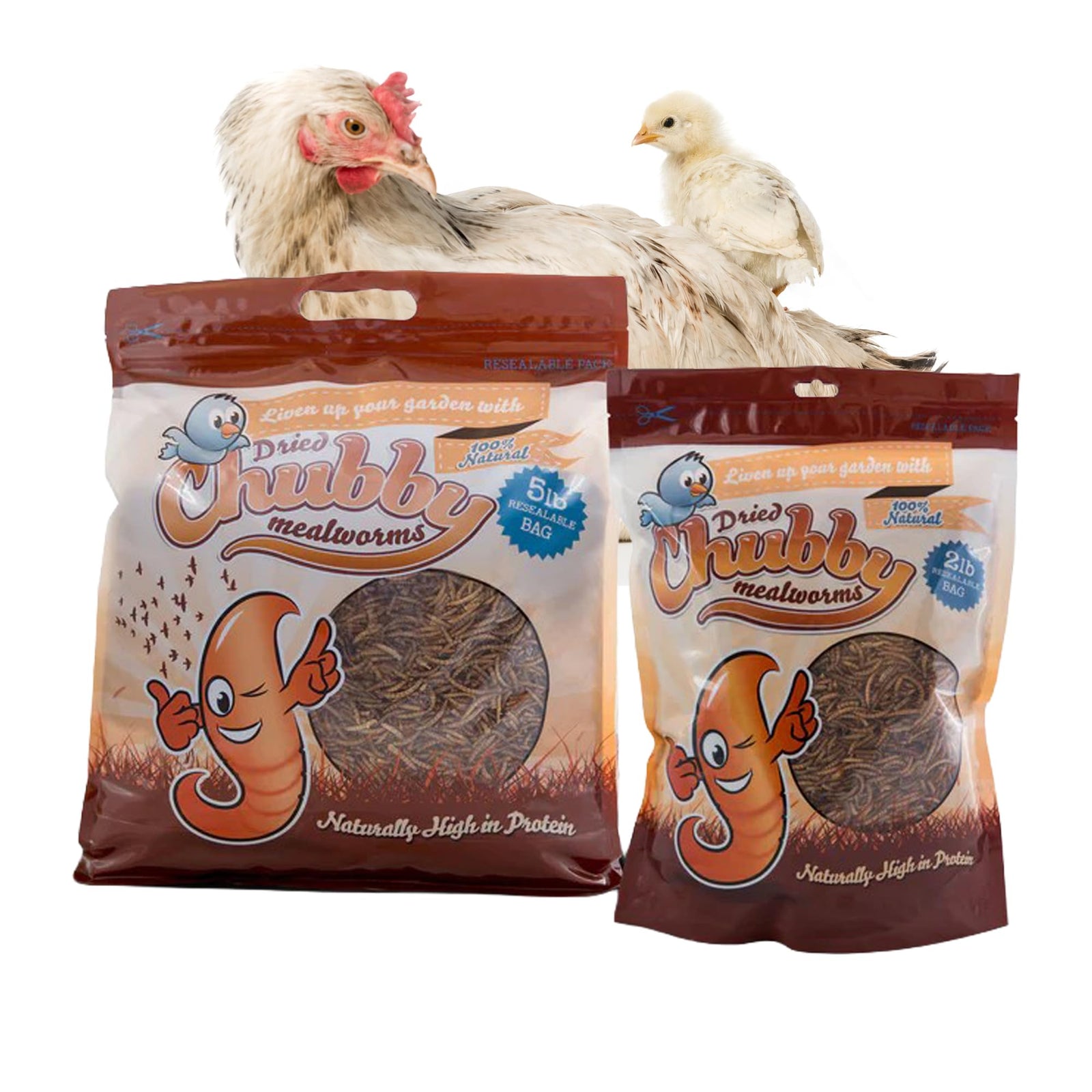 Chubby High-Protein Dried Mealworms for Birds & Poultry