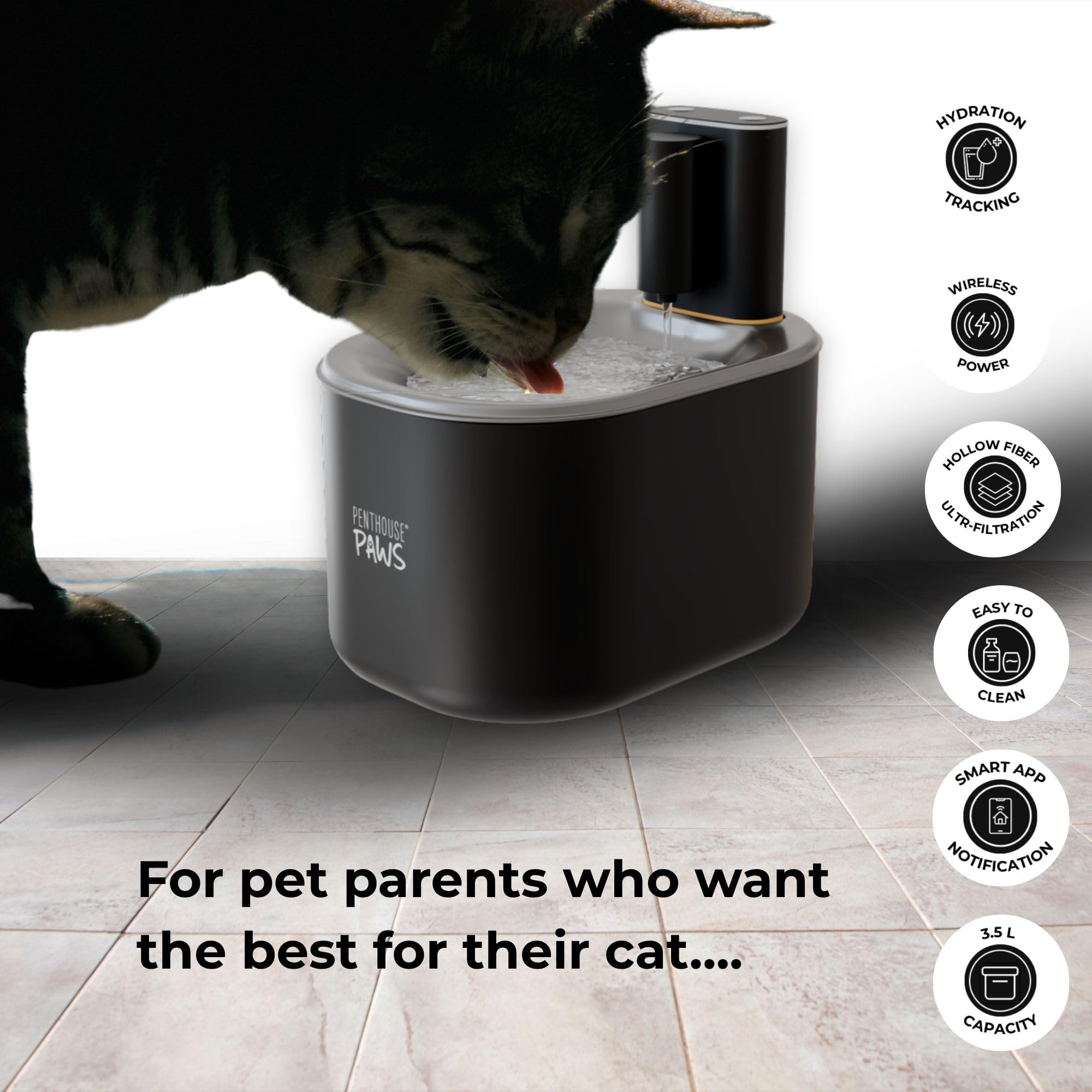 Penthouse Paws Smart Camera Feeder & Water Fountain Bundle