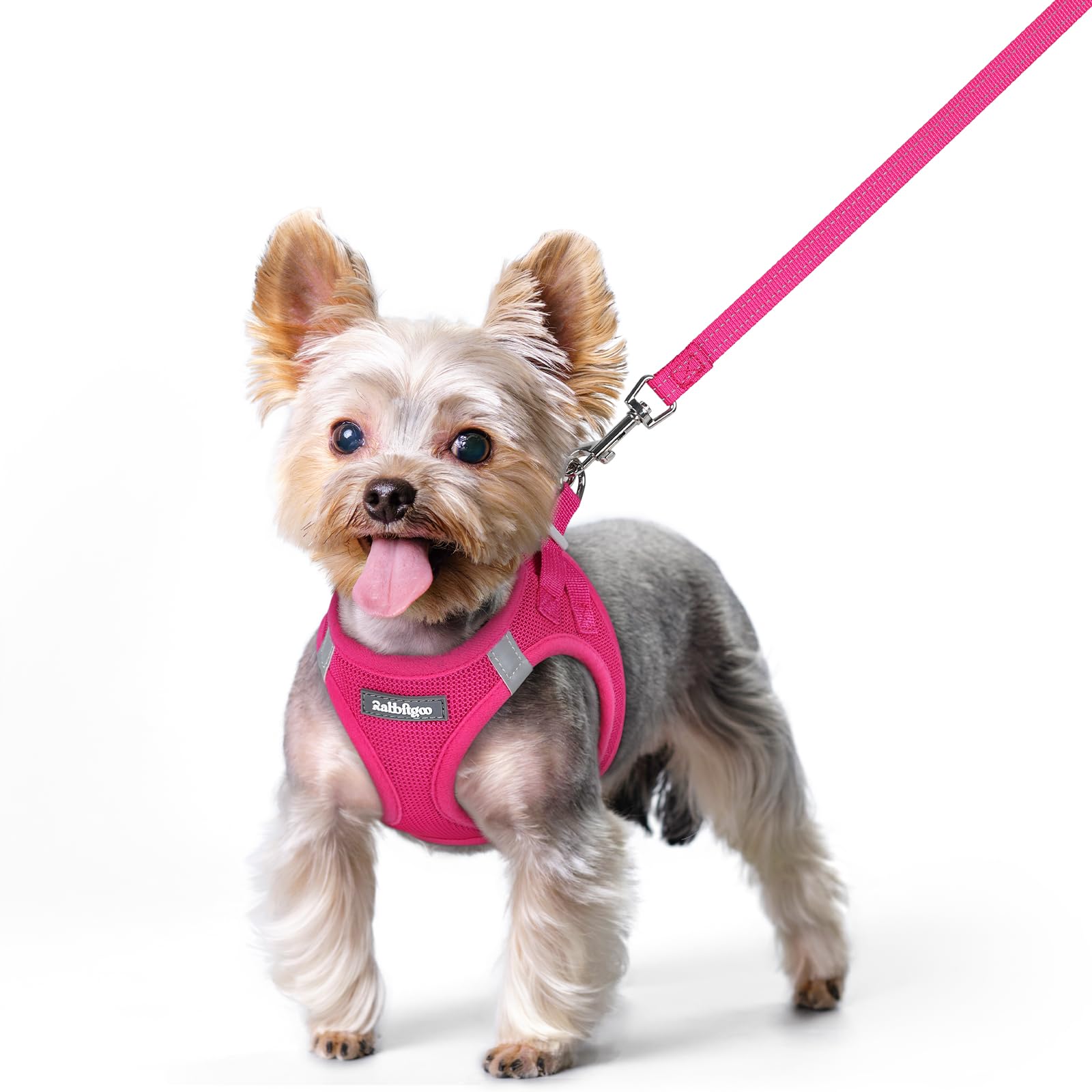 rabbitgoo Reflective Mesh Dog Harness & Leash Set