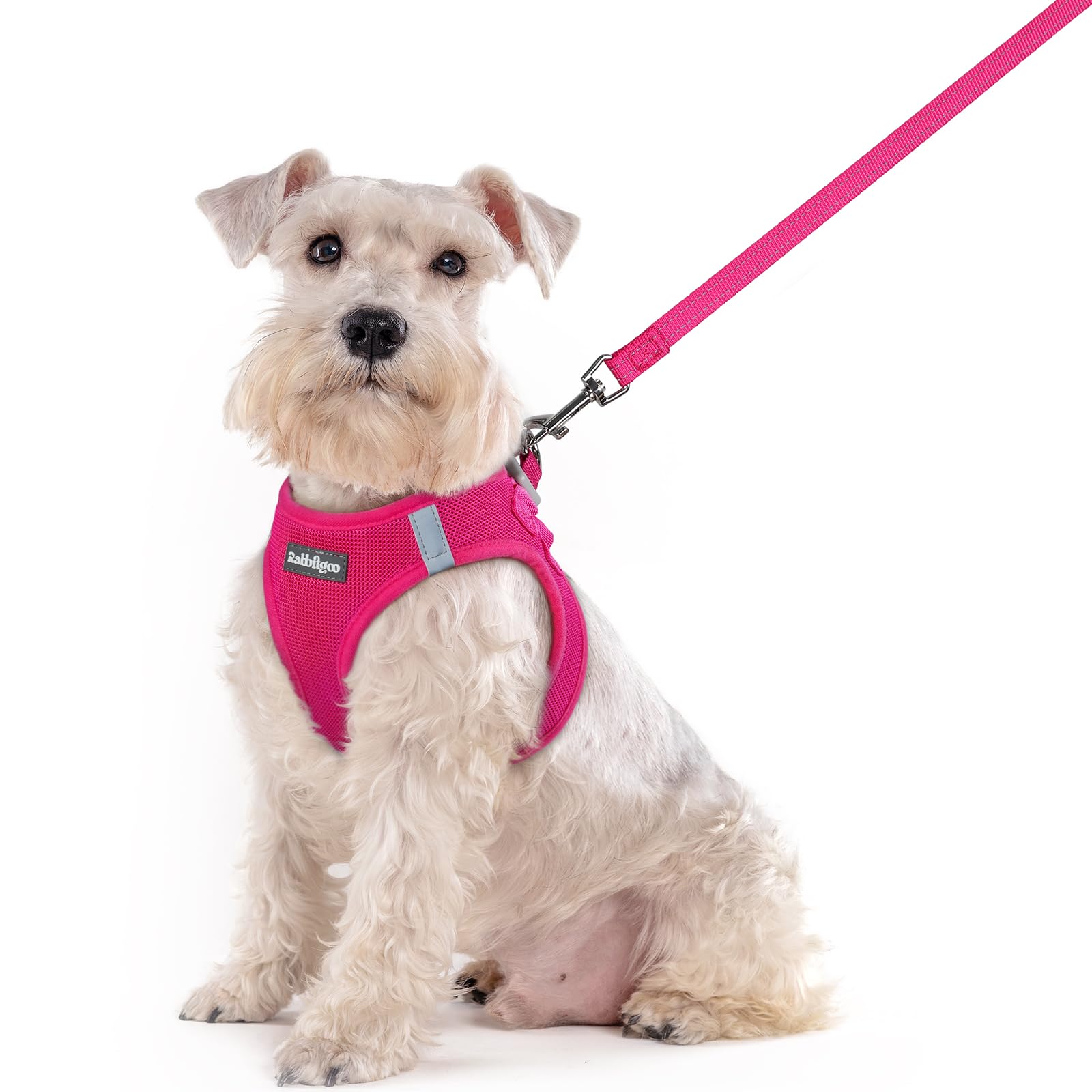 rabbitgoo Reflective Mesh Dog Harness & Leash Set
