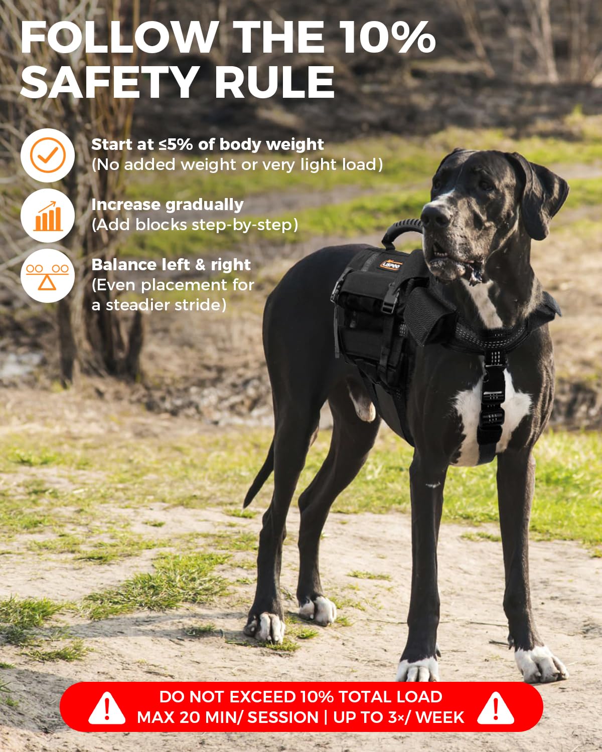 LISPOO Weighted Dog Vest & Collar Set with Removable Weights