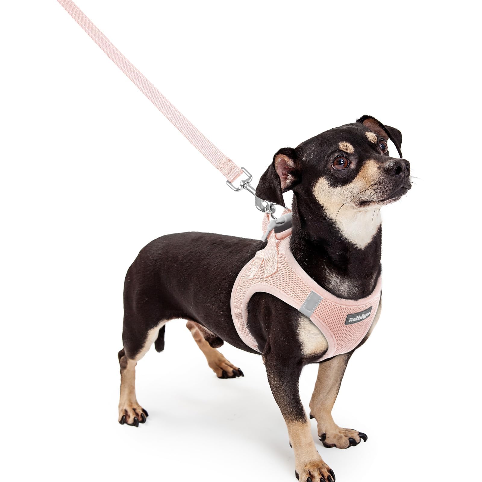 rabbitgoo Reflective Mesh Dog Harness & Leash Set