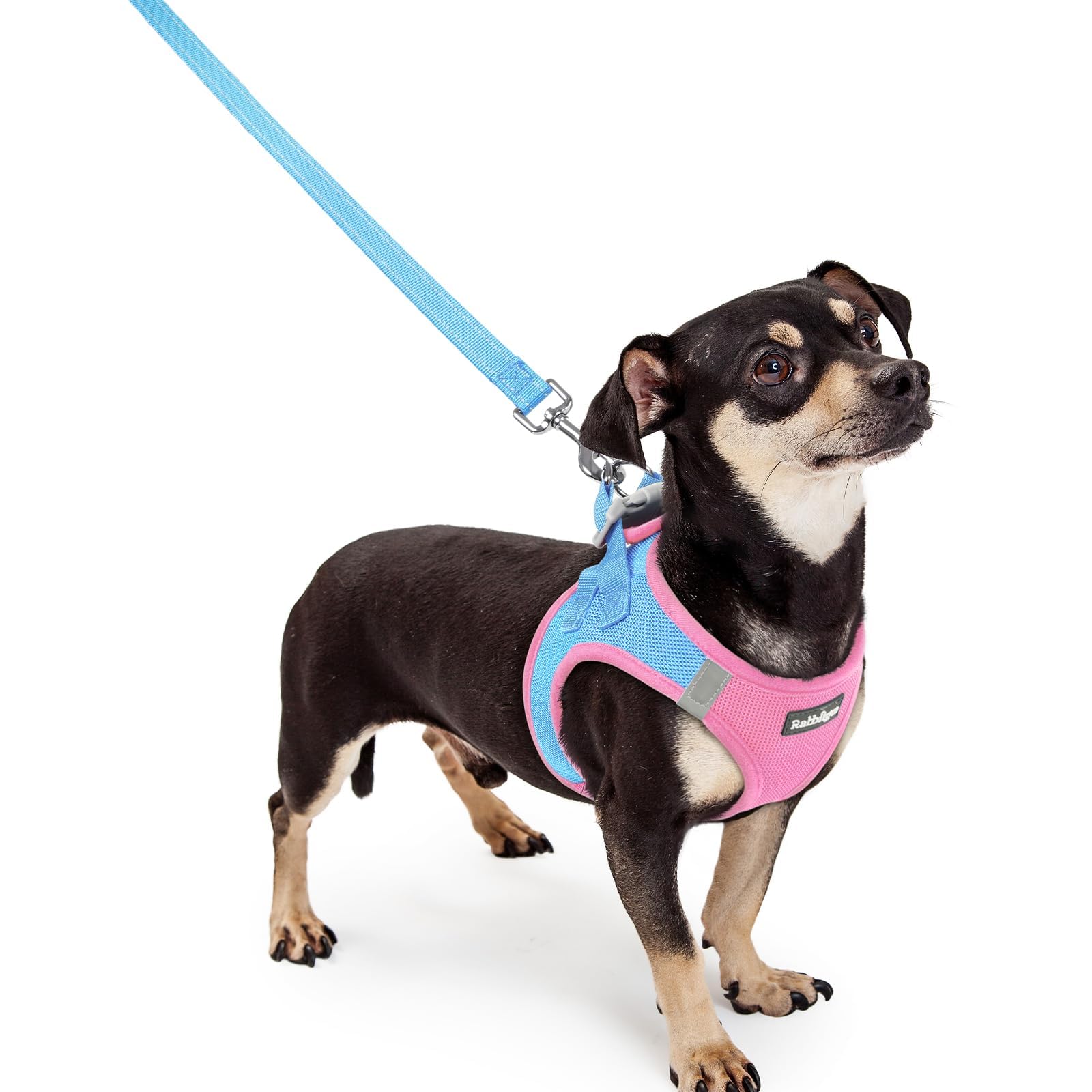 rabbitgoo Reflective Mesh Dog Harness & Leash Set
